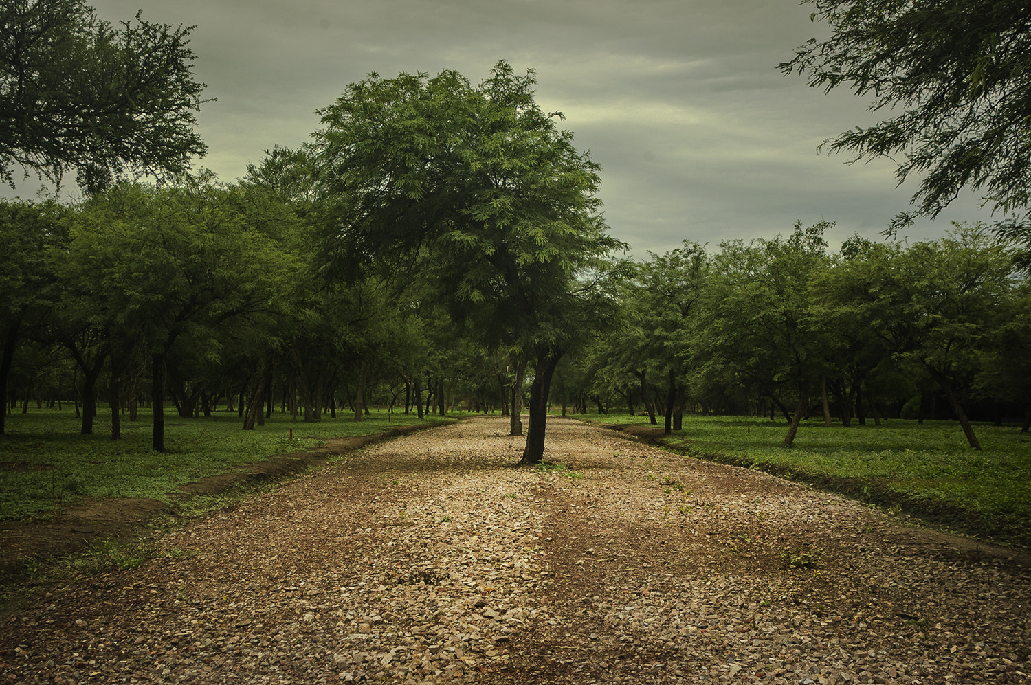 Nikon D70s sample photo. Residencial photography
