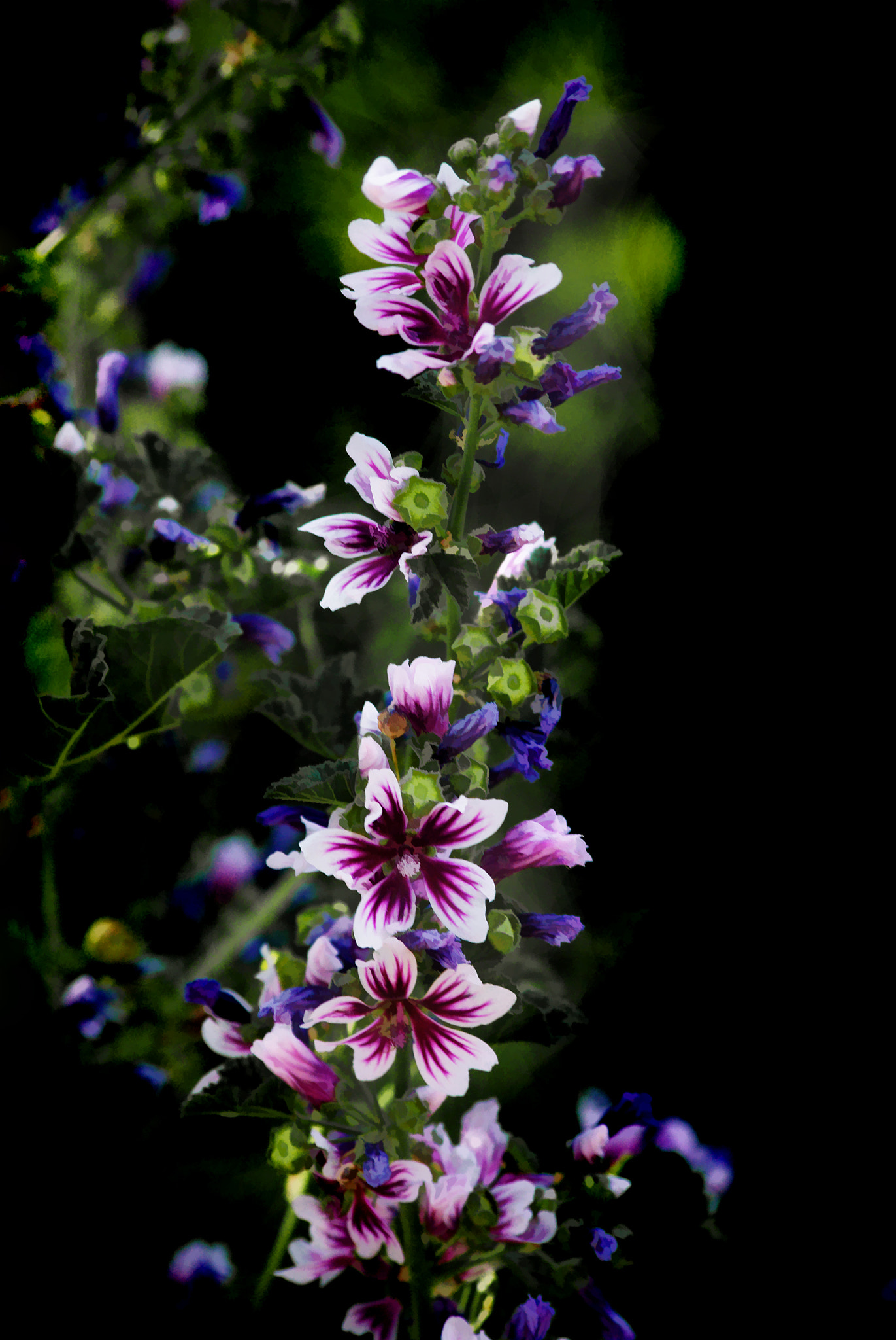 smc PENTAX-DA L 55-300mm F4-5.8 ED sample photo. Growing wild photography