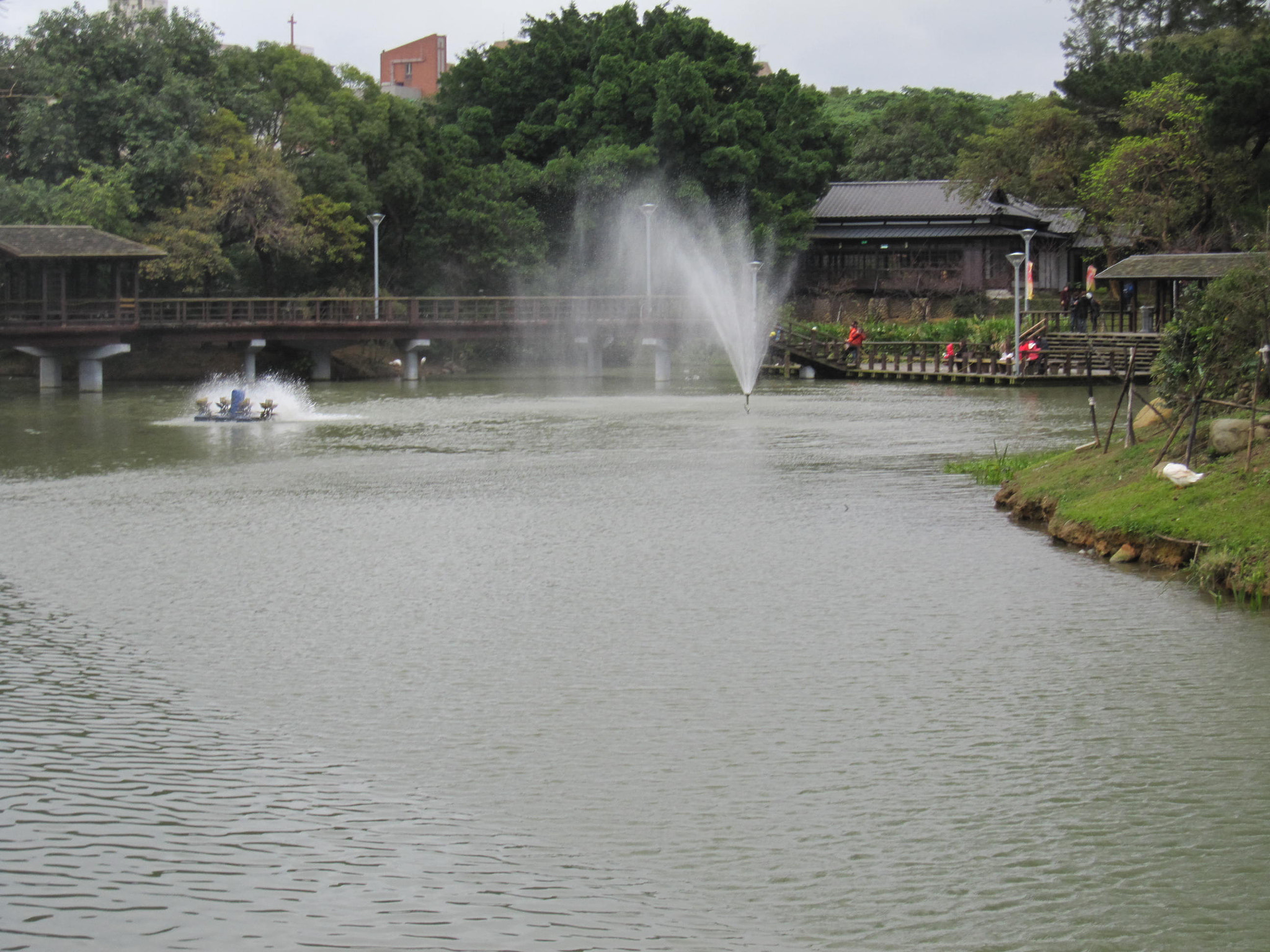 Canon PowerShot SD960 IS (Digital IXUS 110 IS / IXY Digital 510 IS) sample photo. Hsinchu park-li pond photography