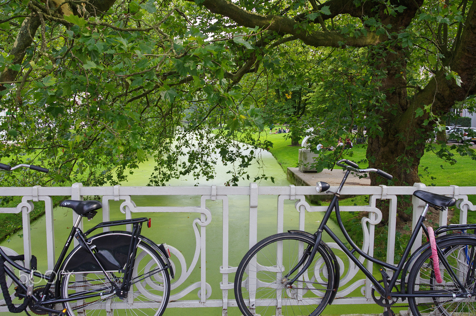 Pentax K-3 sample photo. Dutch summer photography