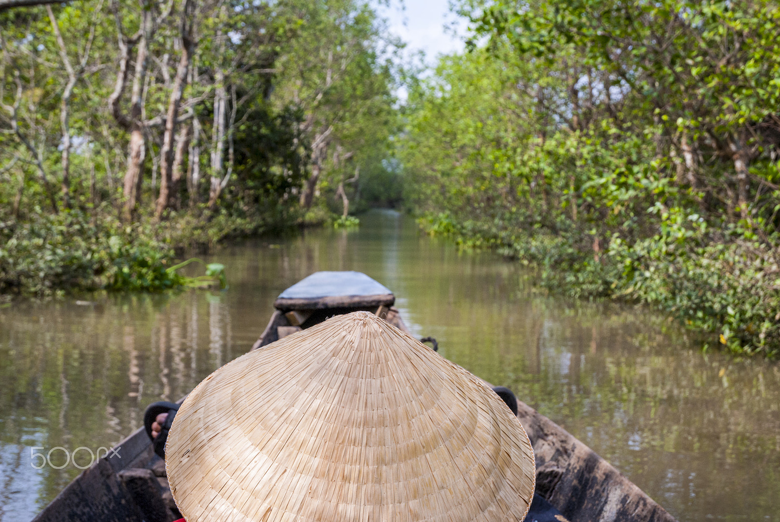 Nikon D80 sample photo. Mekong delta photography