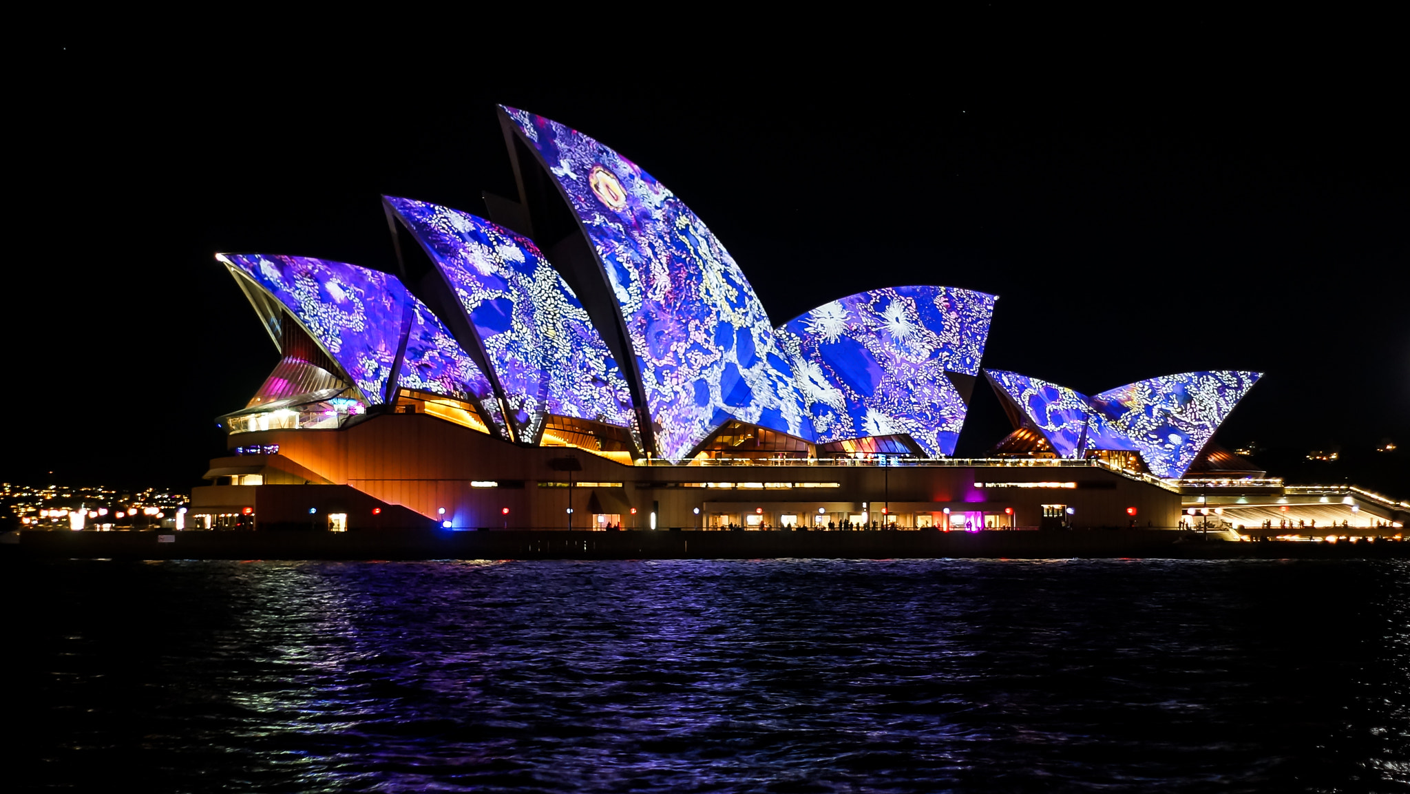 Sony a99 II + Minolta AF 50mm F1.7 sample photo. Vivid sydney 2016 16 photography