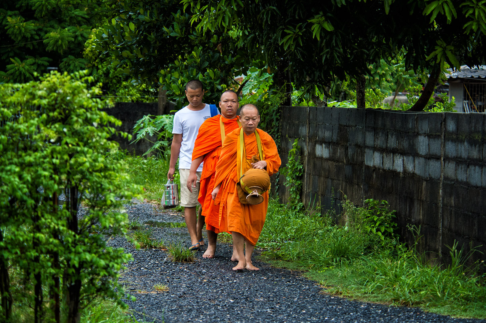 Nikon Df + Nikon AF Nikkor 80-400mm F4.5-5.6D ED VR sample photo. A helper and 2 monks walk in the light rain for morning alms in nakhon nayok, thailand. photography
