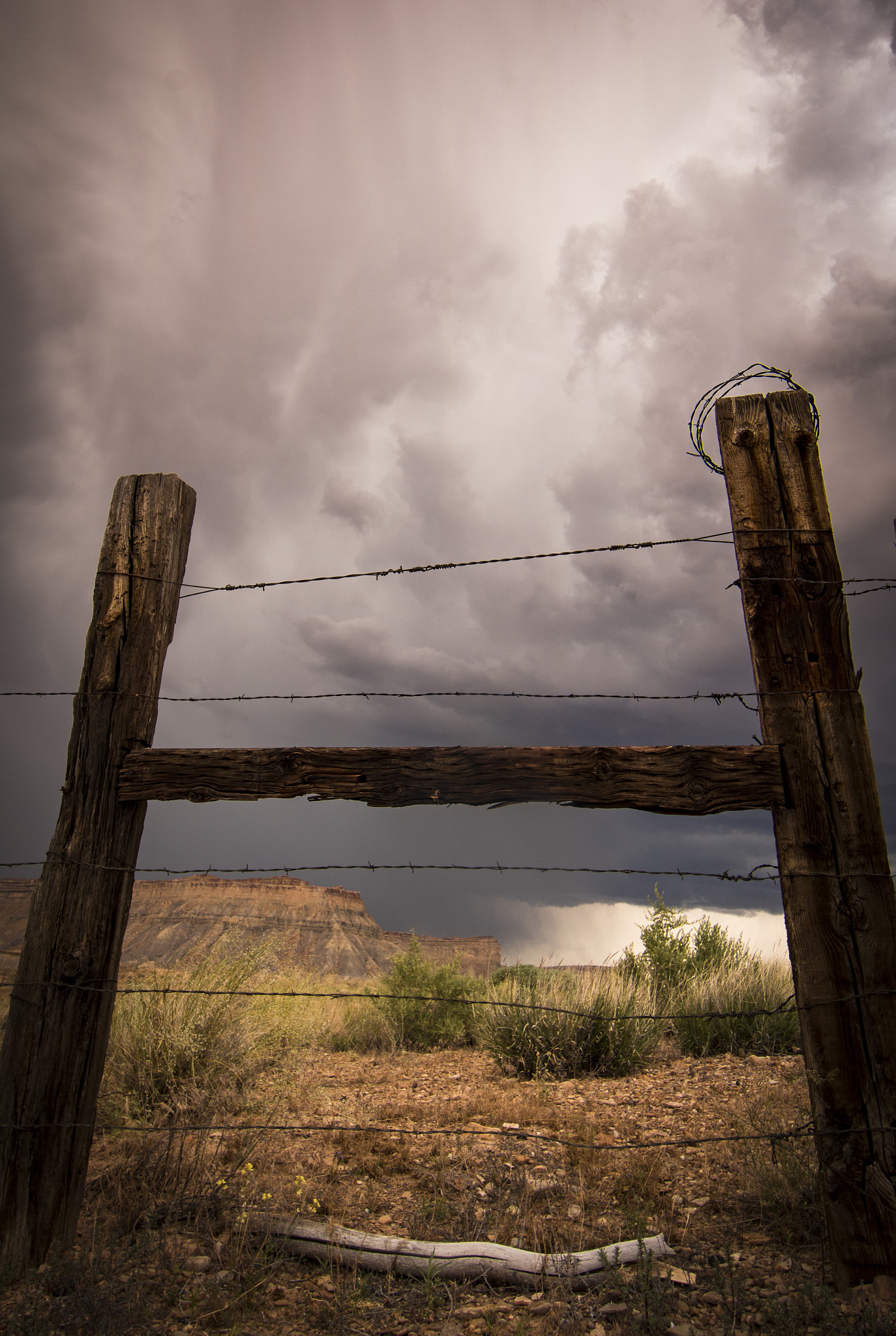 Canon EF 14mm F2.8L II USM sample photo. Storm in floy photography