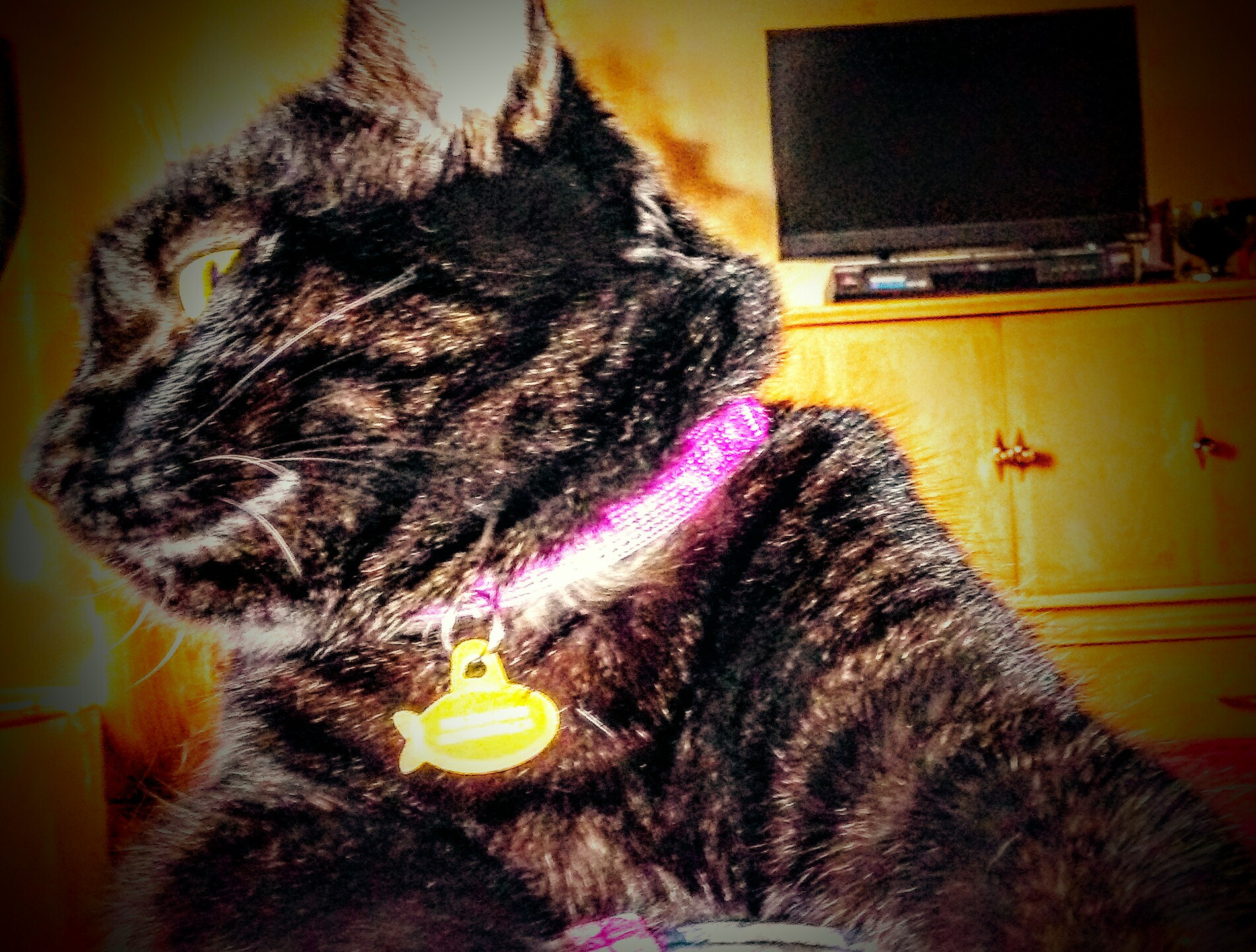 LG M1 sample photo. Bella  photography