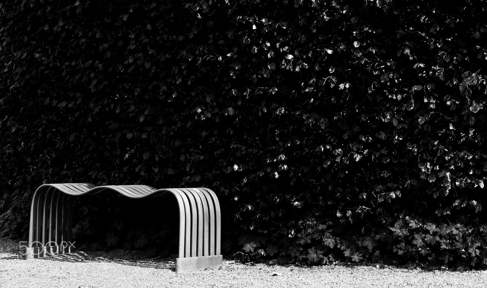 Sigma 28-300mm F3.5-6.3 DG Macro sample photo. The bench photography