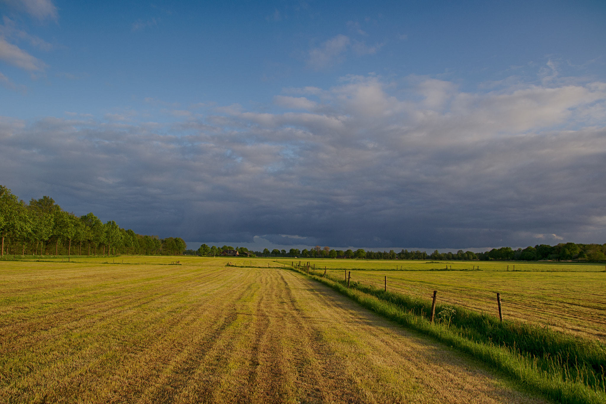 Nikon D3100 + Sigma 17-70mm F2.8-4 DC Macro OS HSM sample photo. Dutch landscape photography