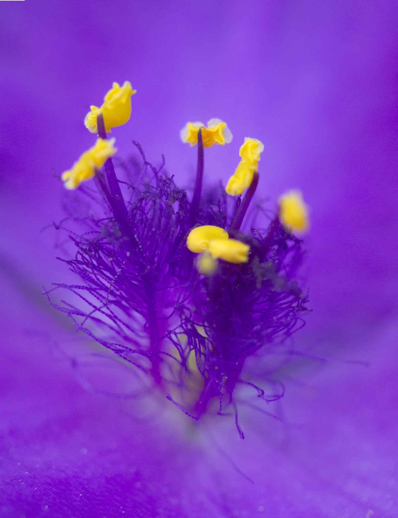 Nikon 1 V1 sample photo. Inside photography