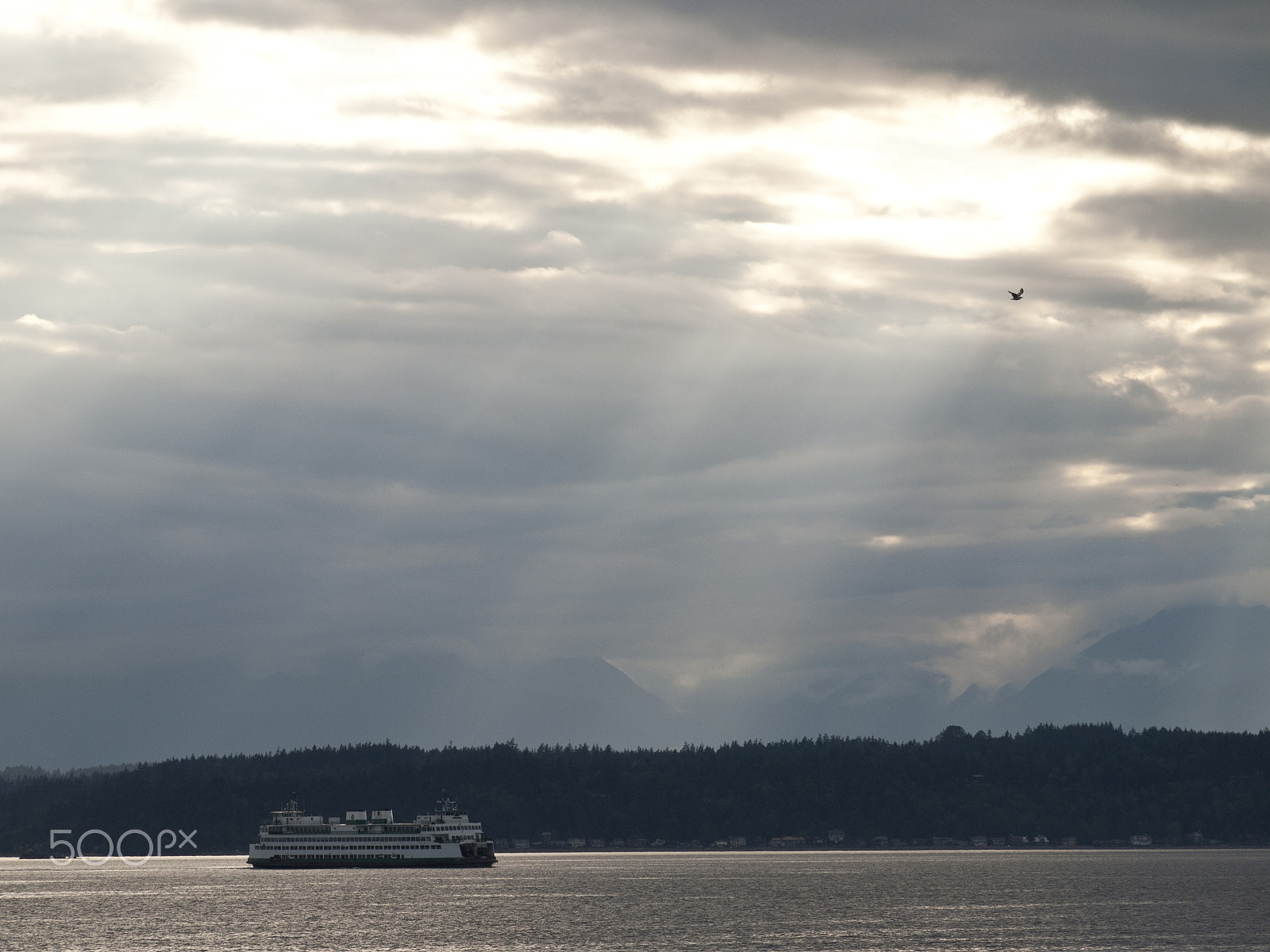 Olympus PEN E-P1 sample photo. A puget sound evening photography