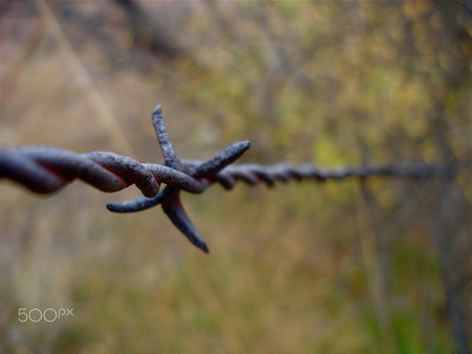 Sony DSC-W1 sample photo. Artistic barbwire photography