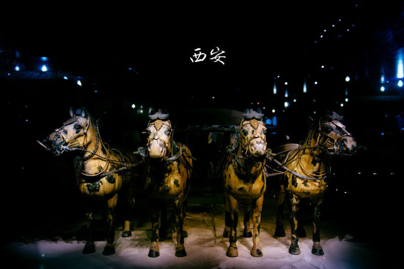 Nikon Df sample photo. The emperor's army photography