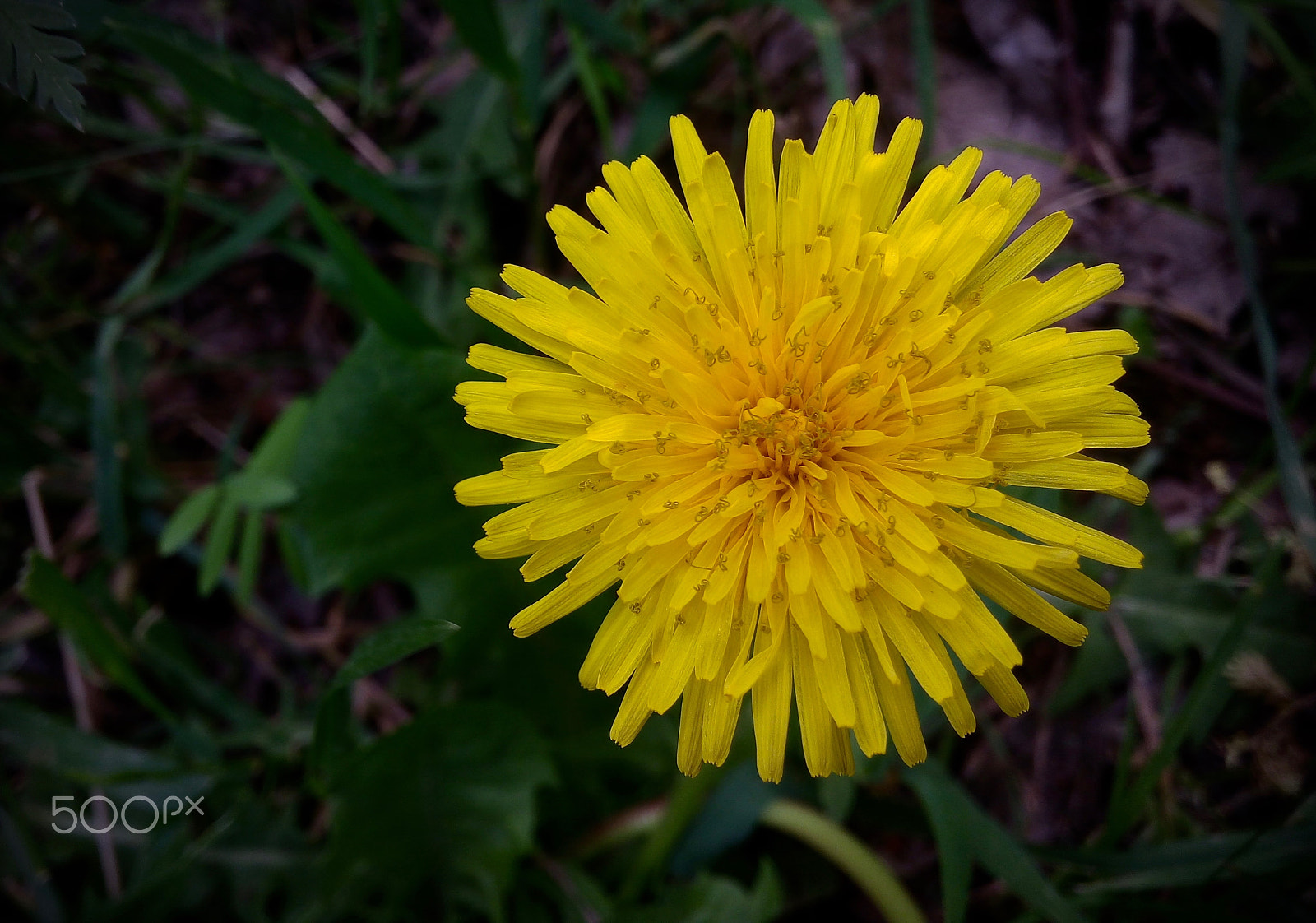 LG G4 STYLUS sample photo. Natural beauty (2) photography