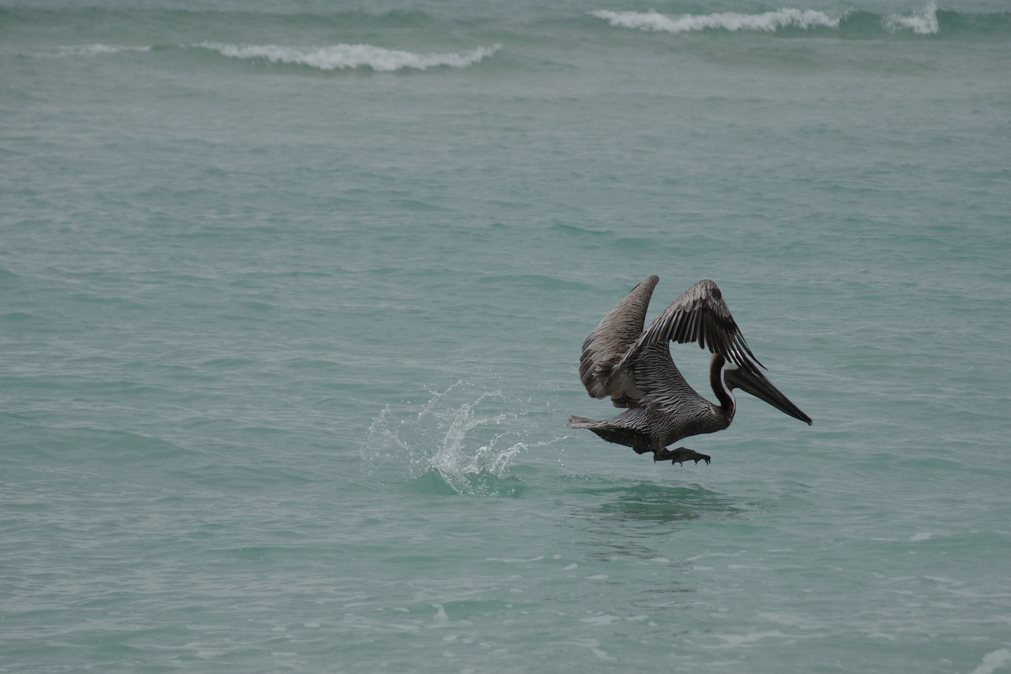 Pentax Q10 + Pentax 06 Telephoto 15-45mm sample photo. . photography