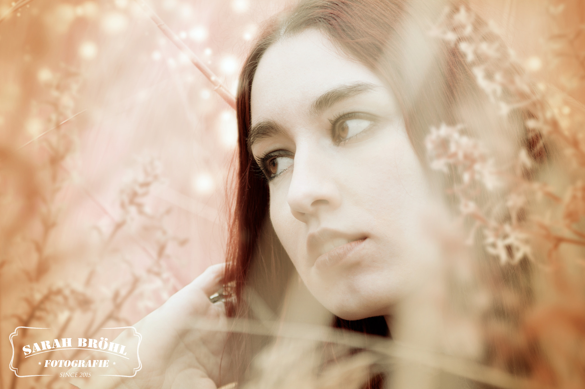 Sony SLT-A58 + Minolta AF 70-210mm F4 Macro sample photo. Tatjana sinthora photography