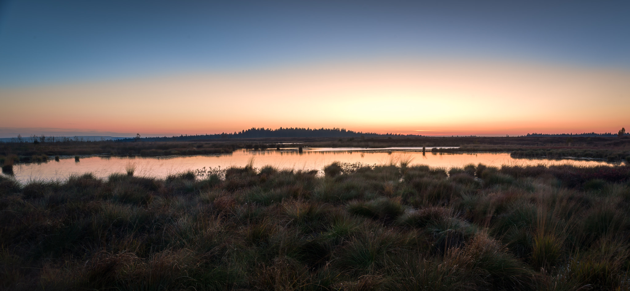 Nikon D750 + Nikon PC-E Nikkor 24mm F3.5D ED Tilt-Shift sample photo. Hoge venen - sunset photography