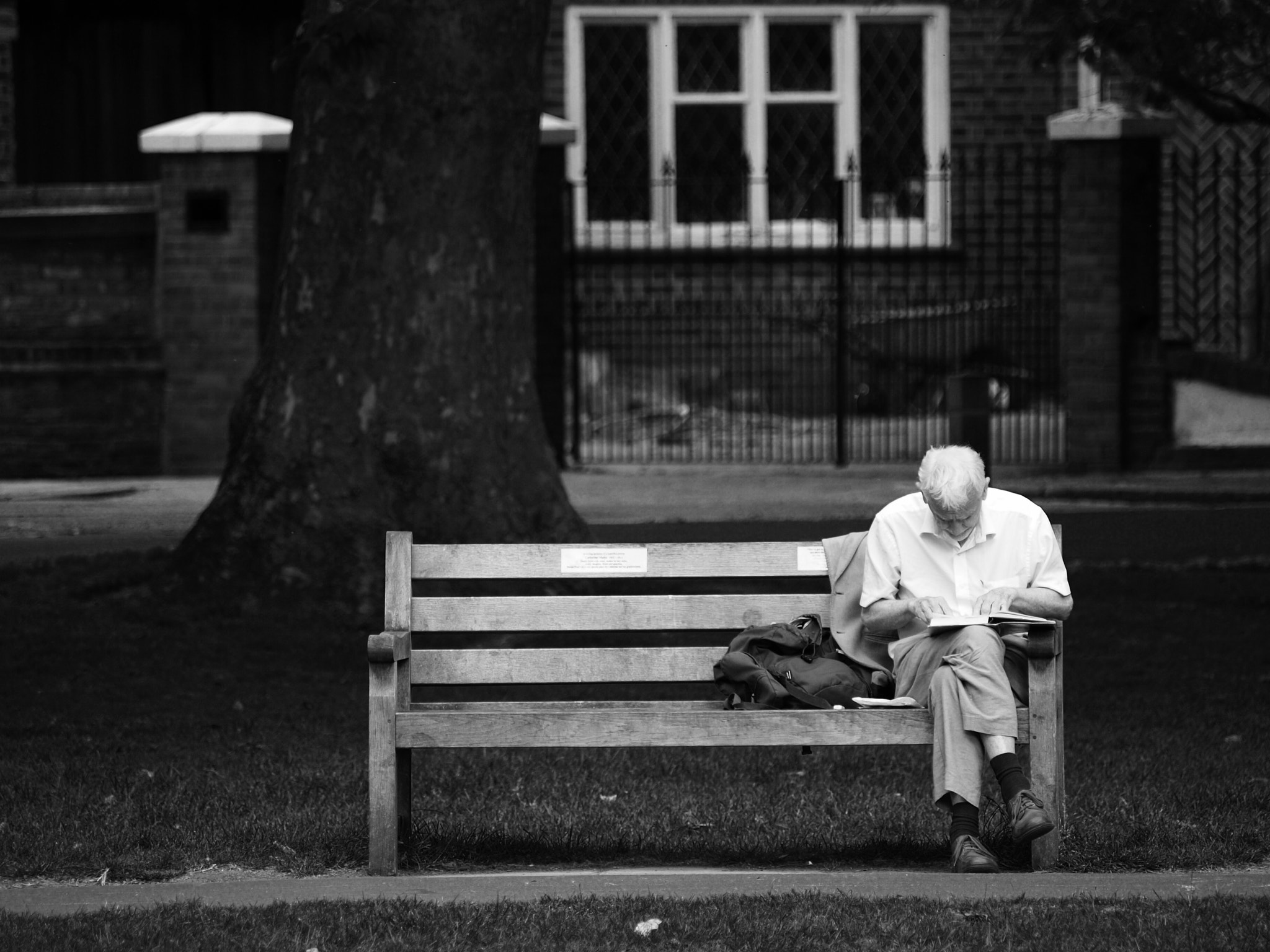 Olympus E-3 sample photo. Reading in his favourite spot photography