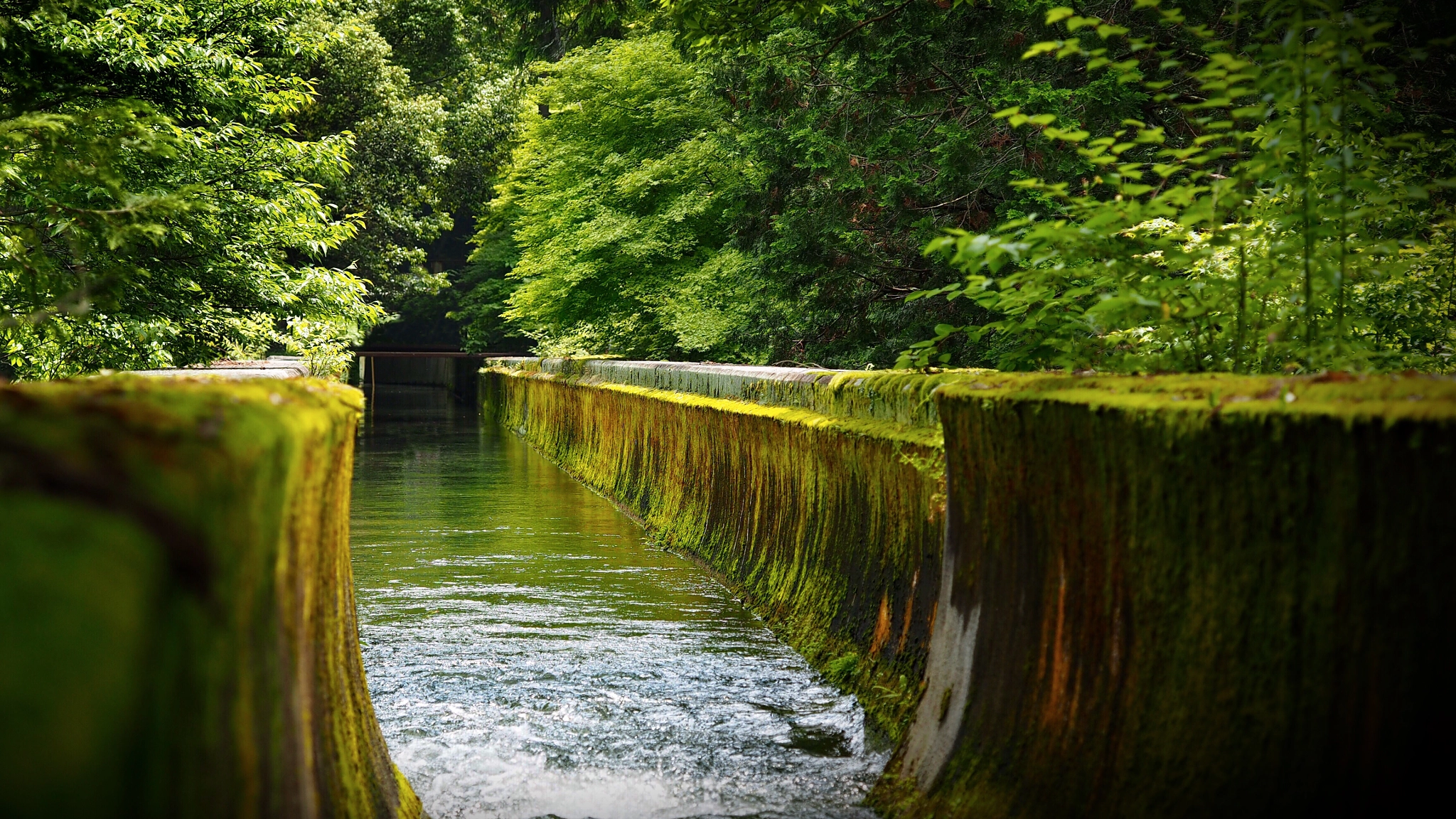 Olympus PEN E-PL7 sample photo. Lake biwa canal photography