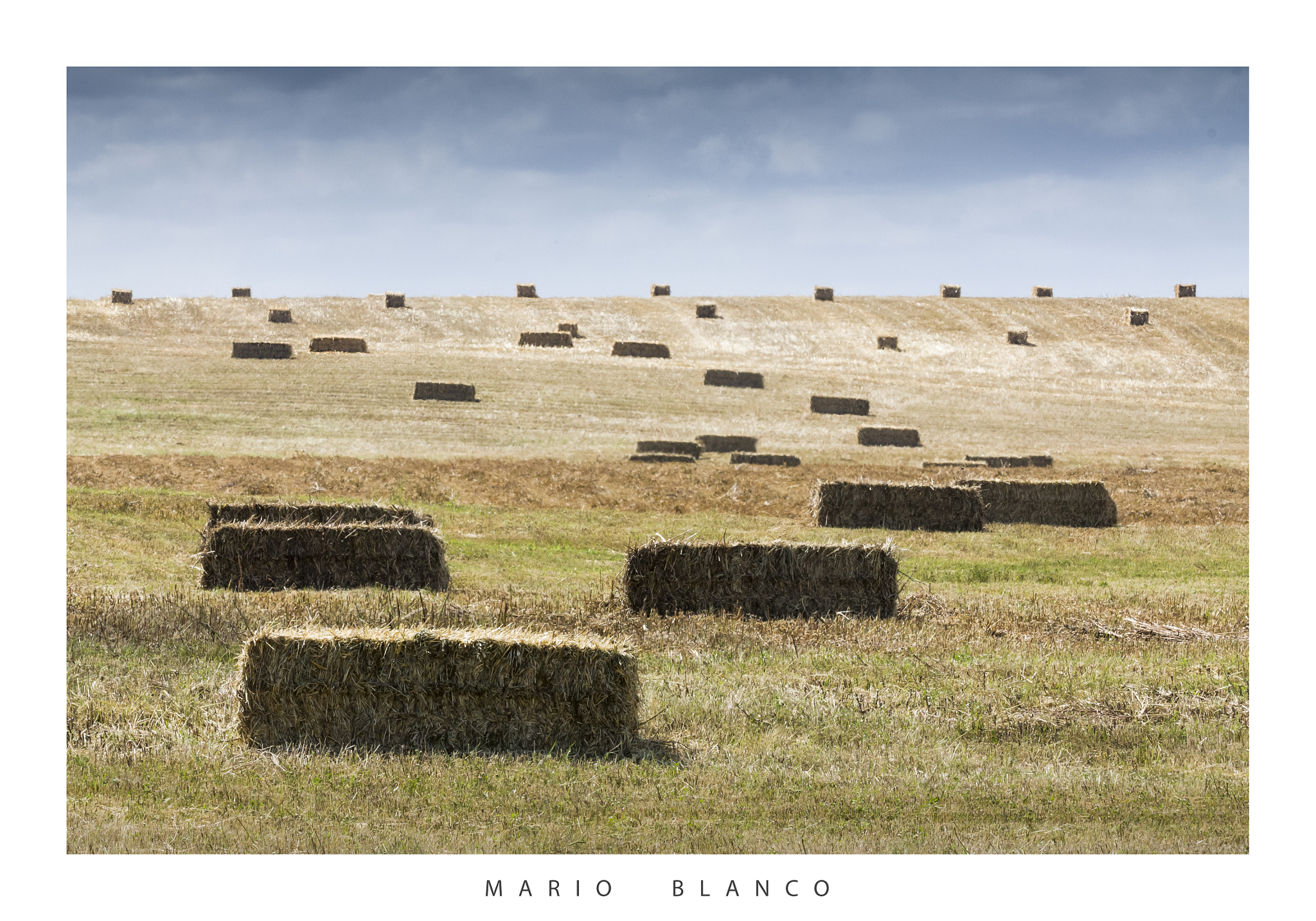 Tamron SP 150-600mm F5-6.3 Di VC USD sample photo. Harvest time photography