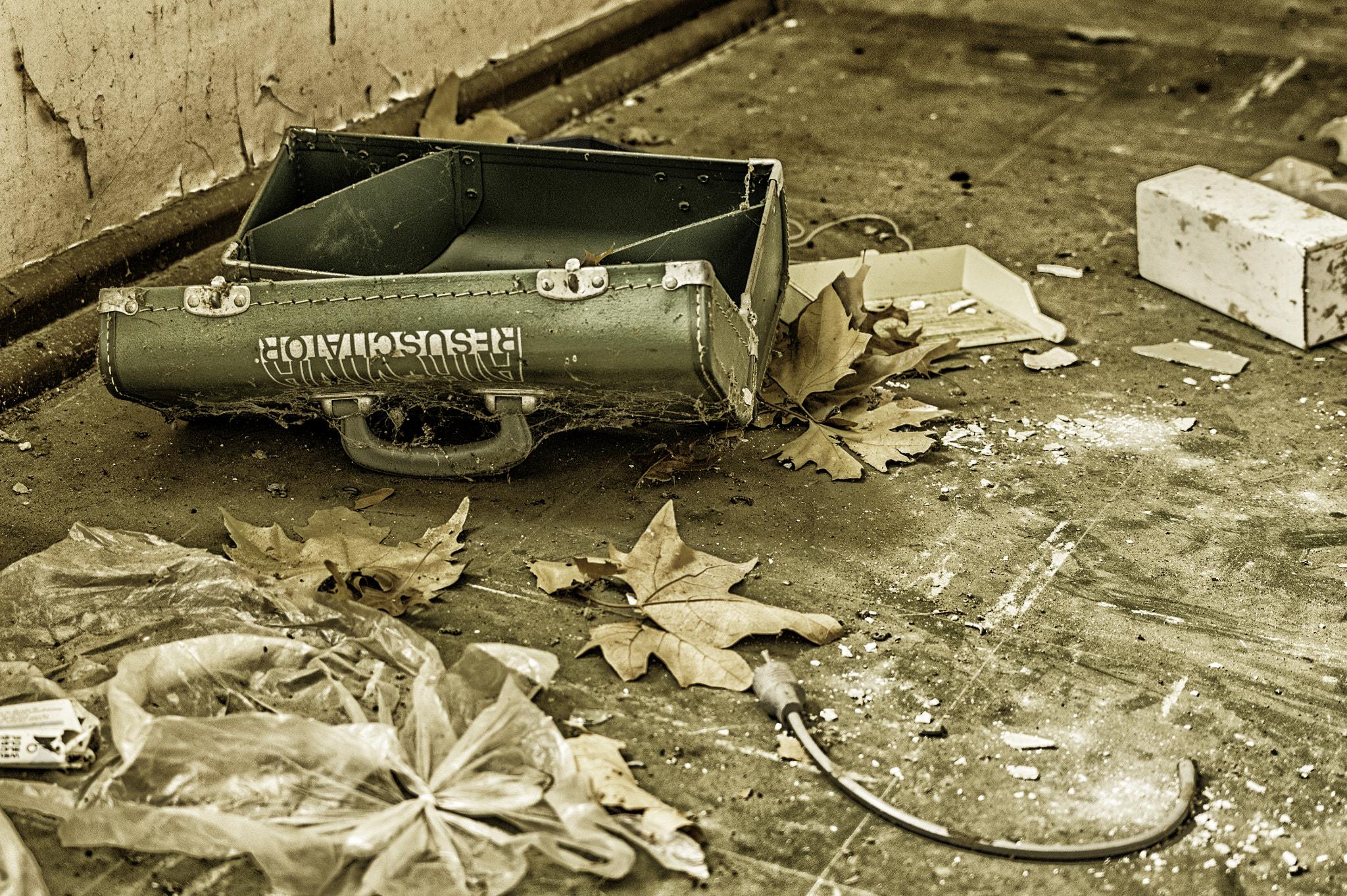Pentax K-3 II sample photo. Kenmore resuscitator photography