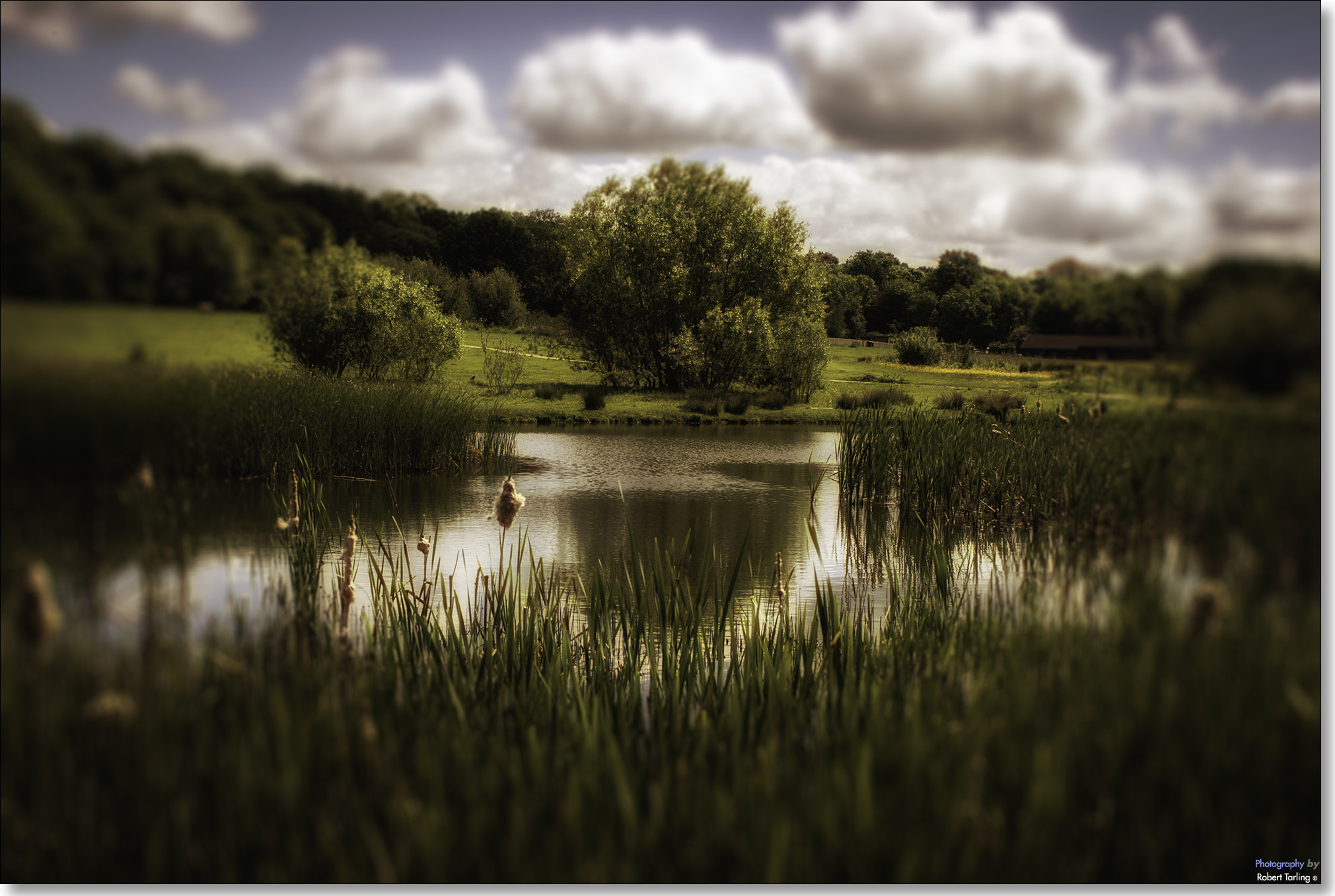 Nikon D80 + AF Zoom-Nikkor 35-135mm f/3.5-4.5 N sample photo. Hinchingbrooke park photography