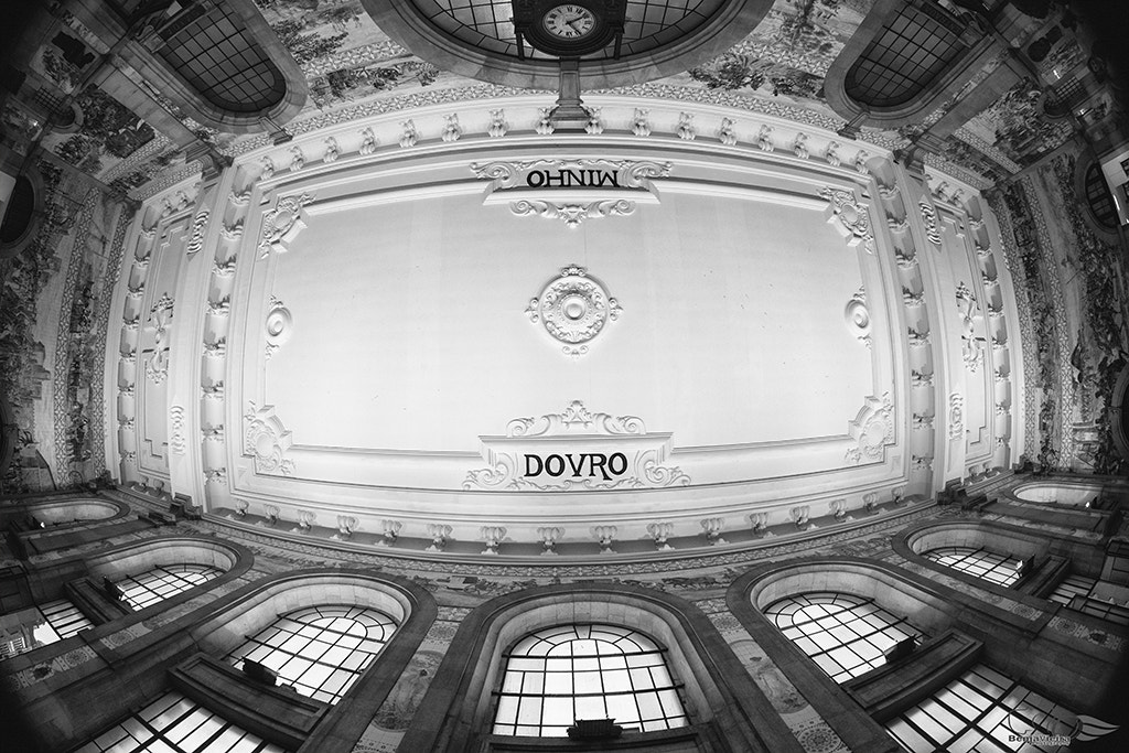 Canon EF 8-15mm F4L Fisheye USM sample photo. _mg_3533.jpg photography