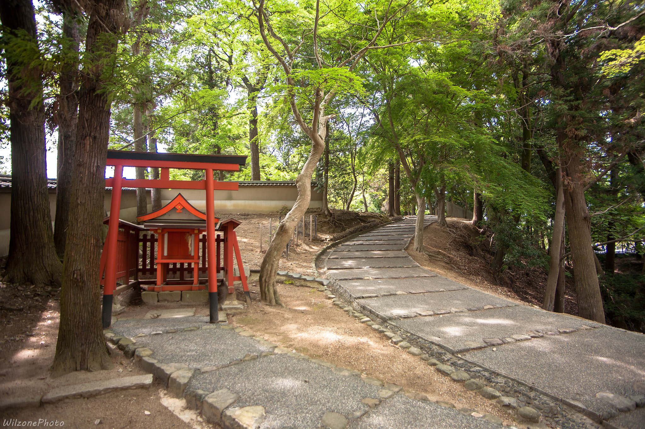 Canon EOS 5D + Tamron AF 19-35mm f/3.5-4.5 sample photo. Nara 142 photography