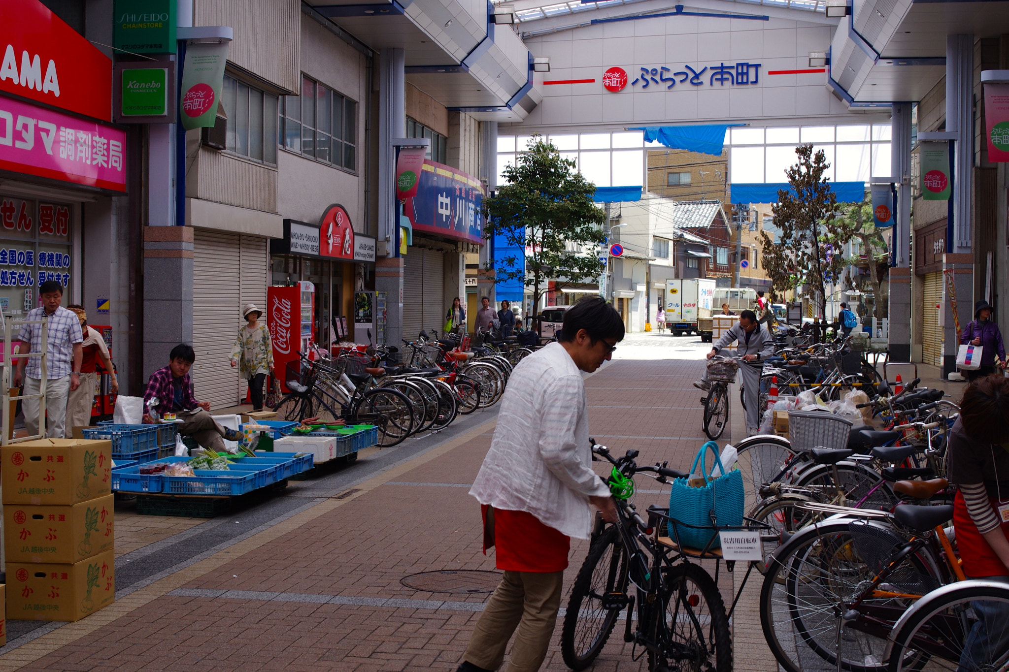 Pentax K-5 + Pentax smc FA 31mm F1.8 AL Limited sample photo. 120519_kamifuru photography