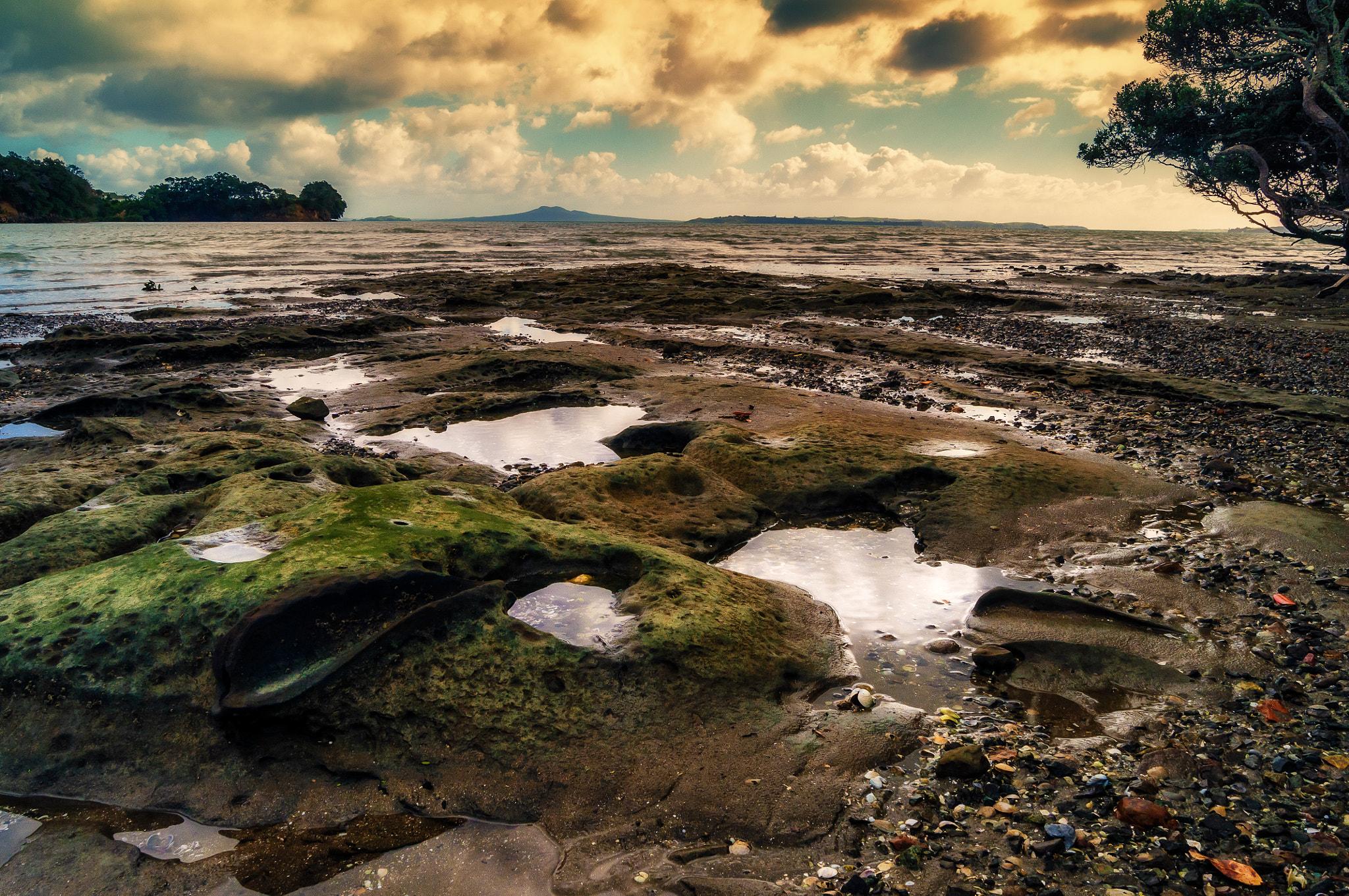 Nikon D300S sample photo. A piece of mt rangitoto photography