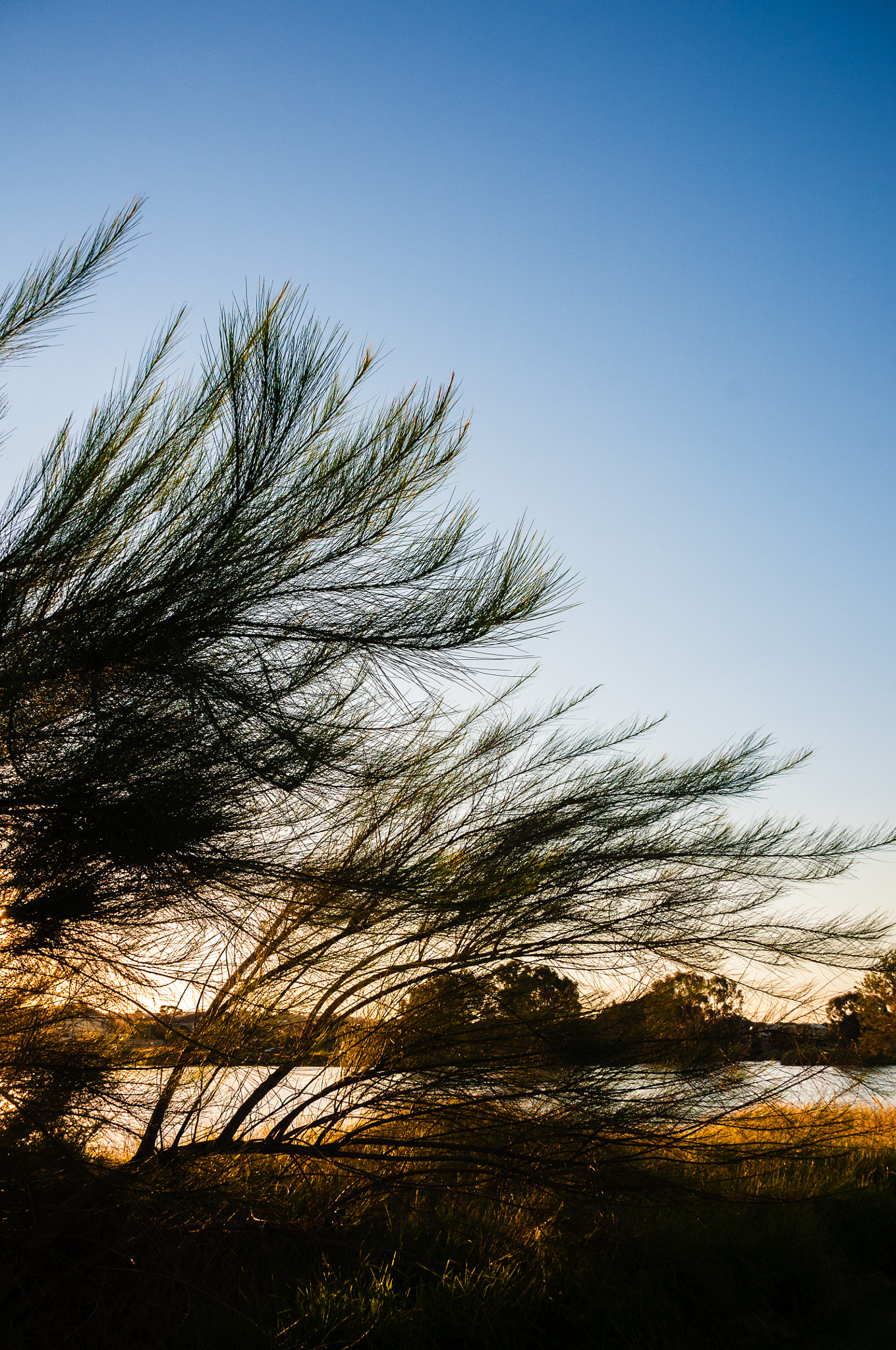 Nikon D300S sample photo. Sunset photography