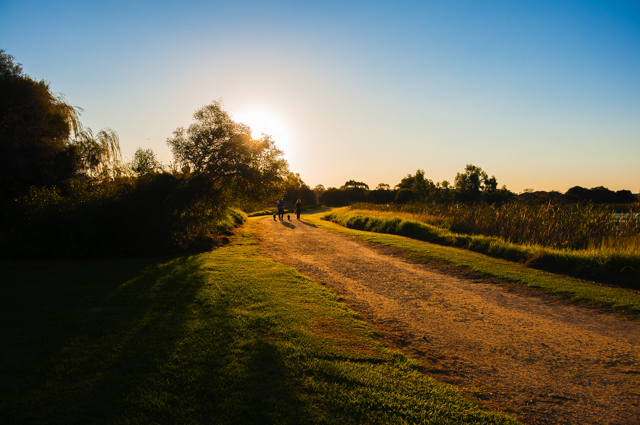 Nikon D300S sample photo. Sunset photography