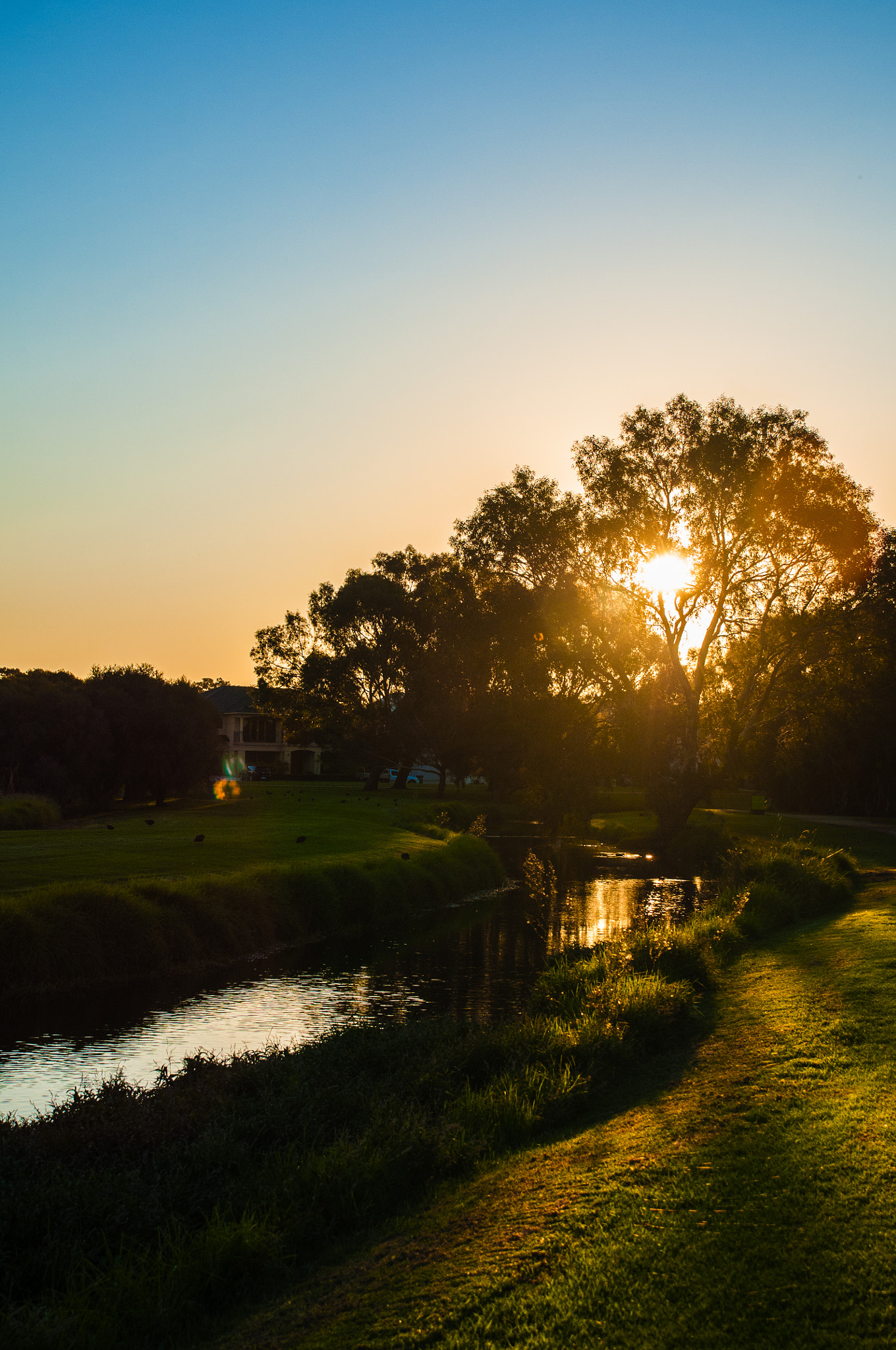 Nikon D300S sample photo. Sunset photography