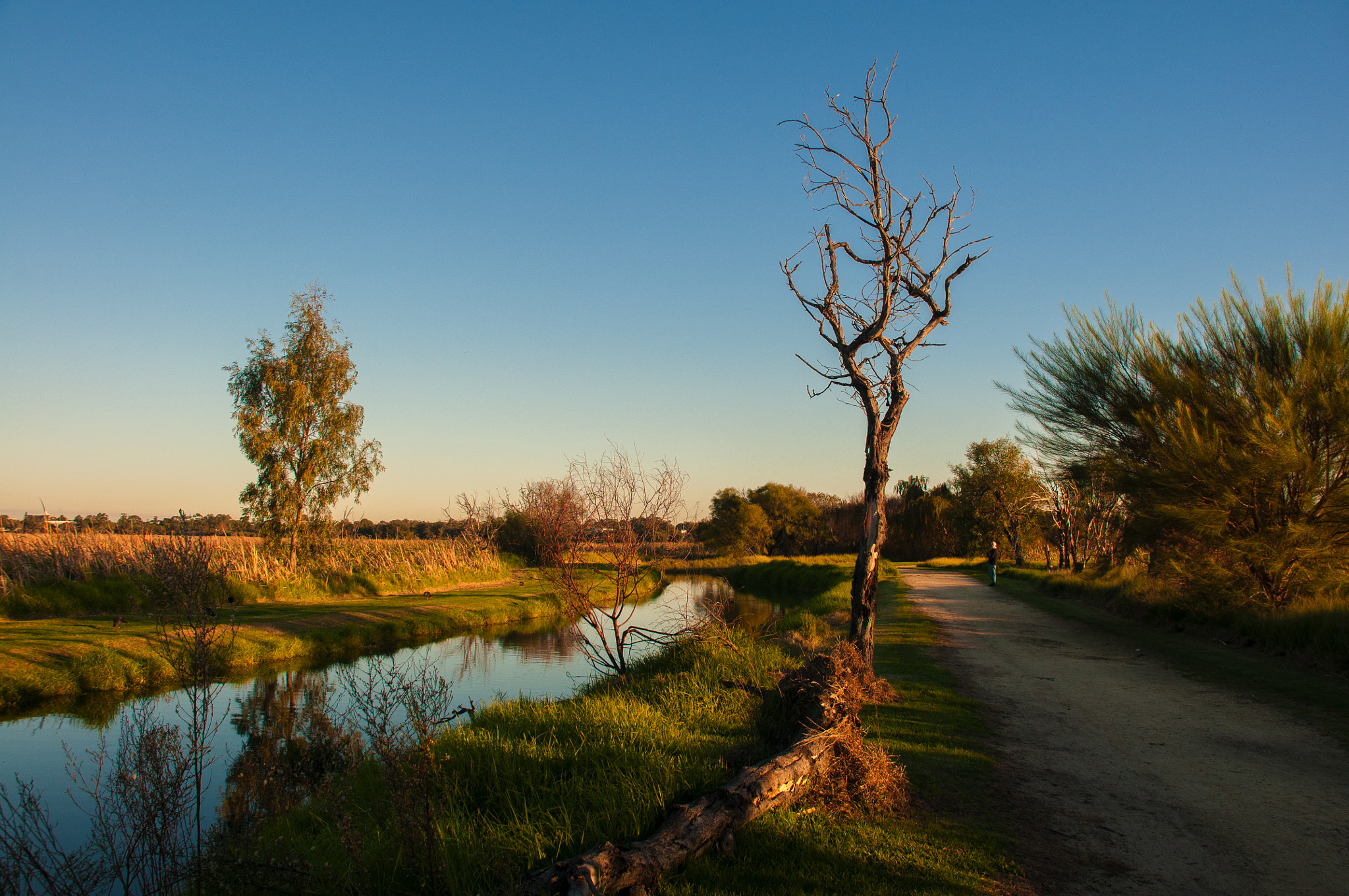 Nikon D300S sample photo. Sunset photography