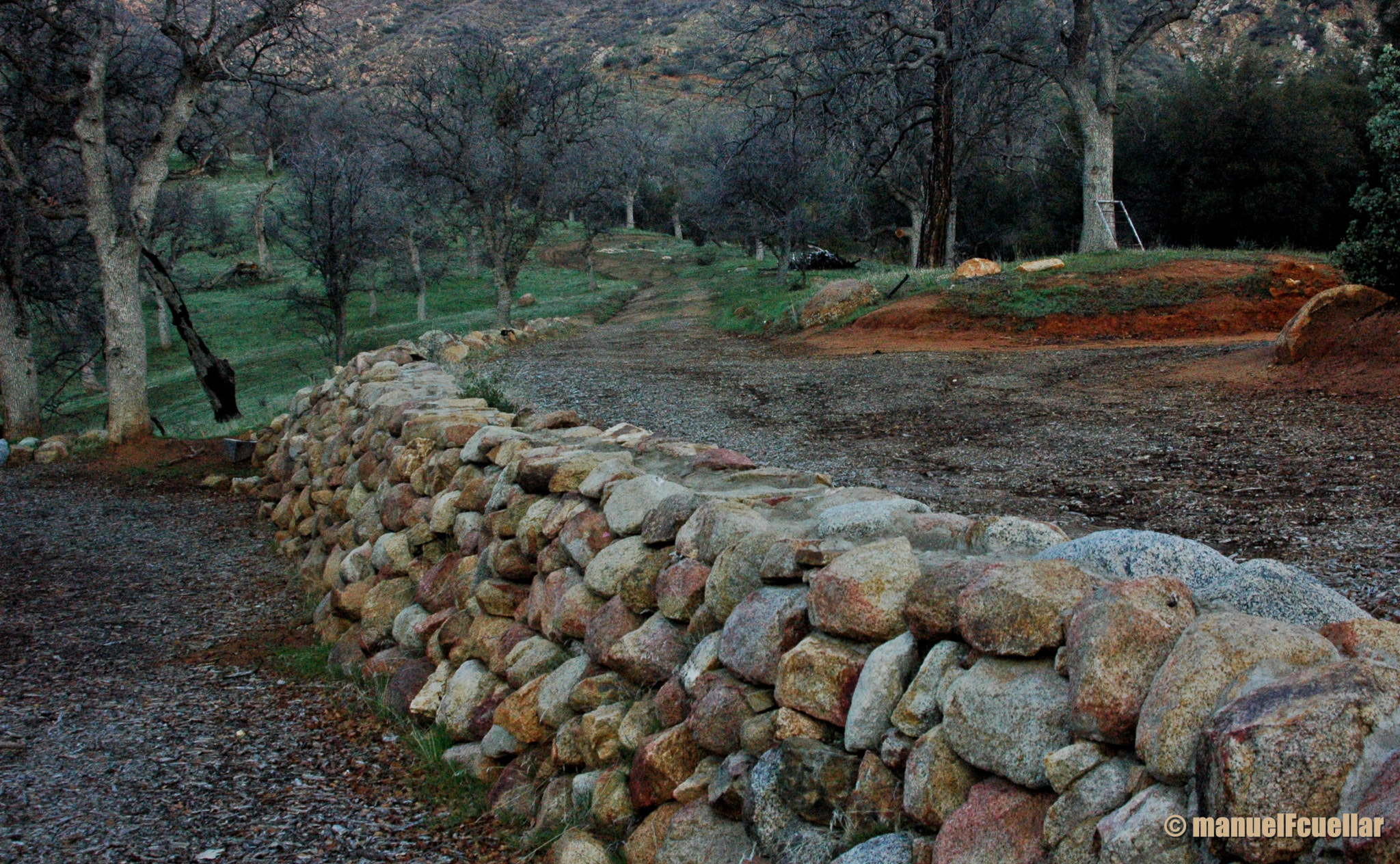 Nikon D70 sample photo. En el corazón de california. photography