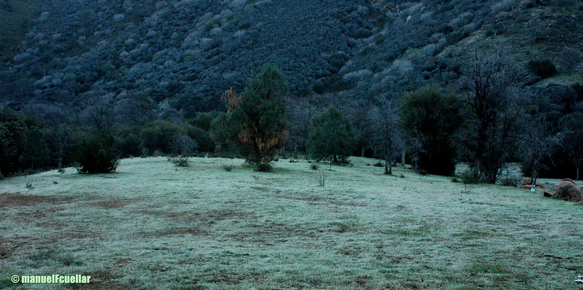 Nikon D70 sample photo. En el corazón de california. photography