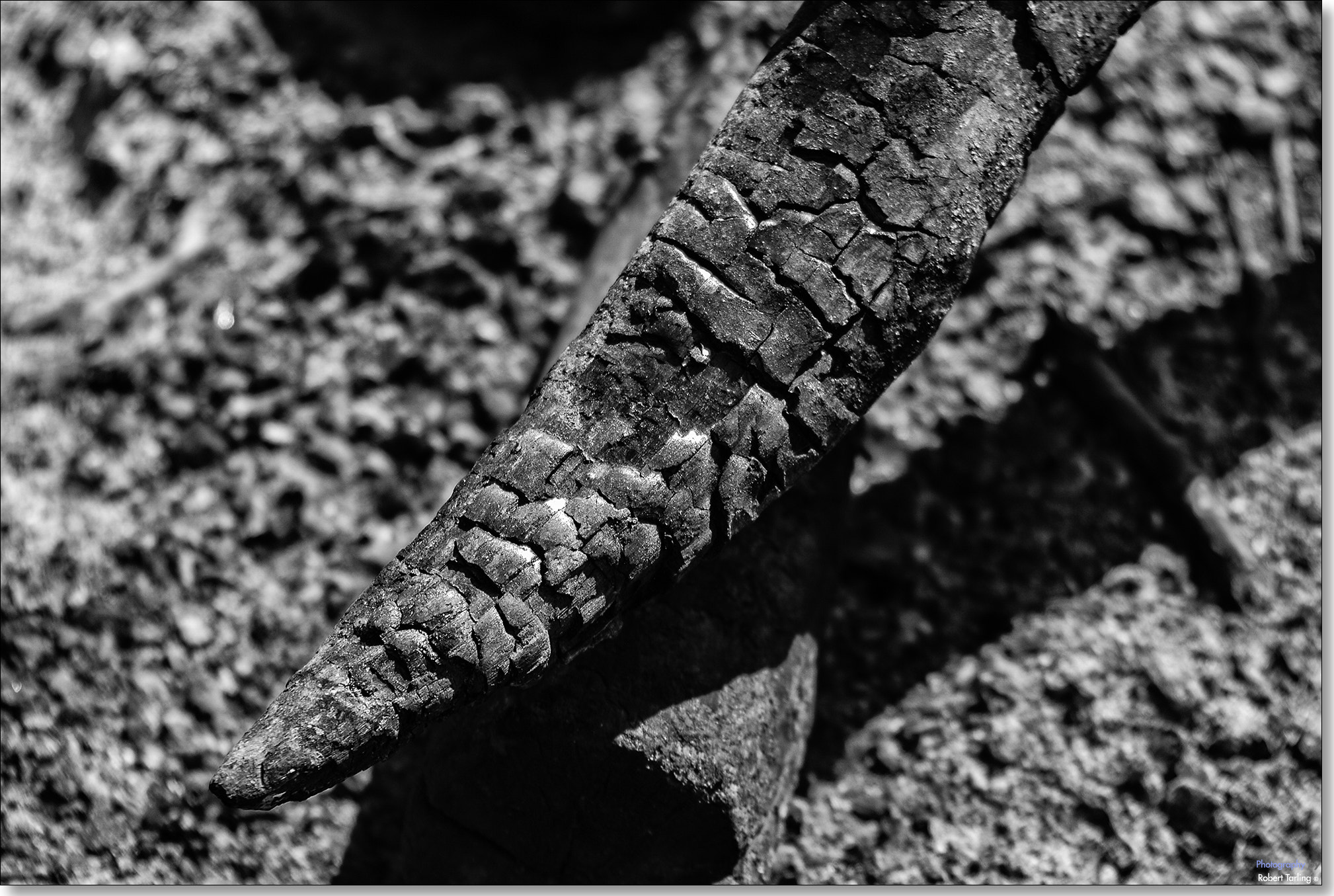 AF Zoom-Nikkor 35-135mm f/3.5-4.5 N sample photo. Charred. photography