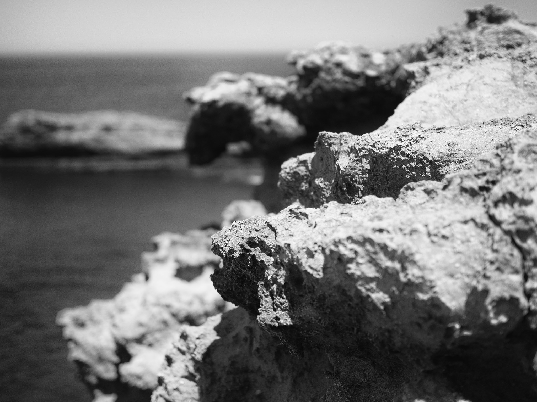 Olympus OM-D E-M10 + Olympus M.Zuiko Digital 25mm F1.8 sample photo. On the rocks photography