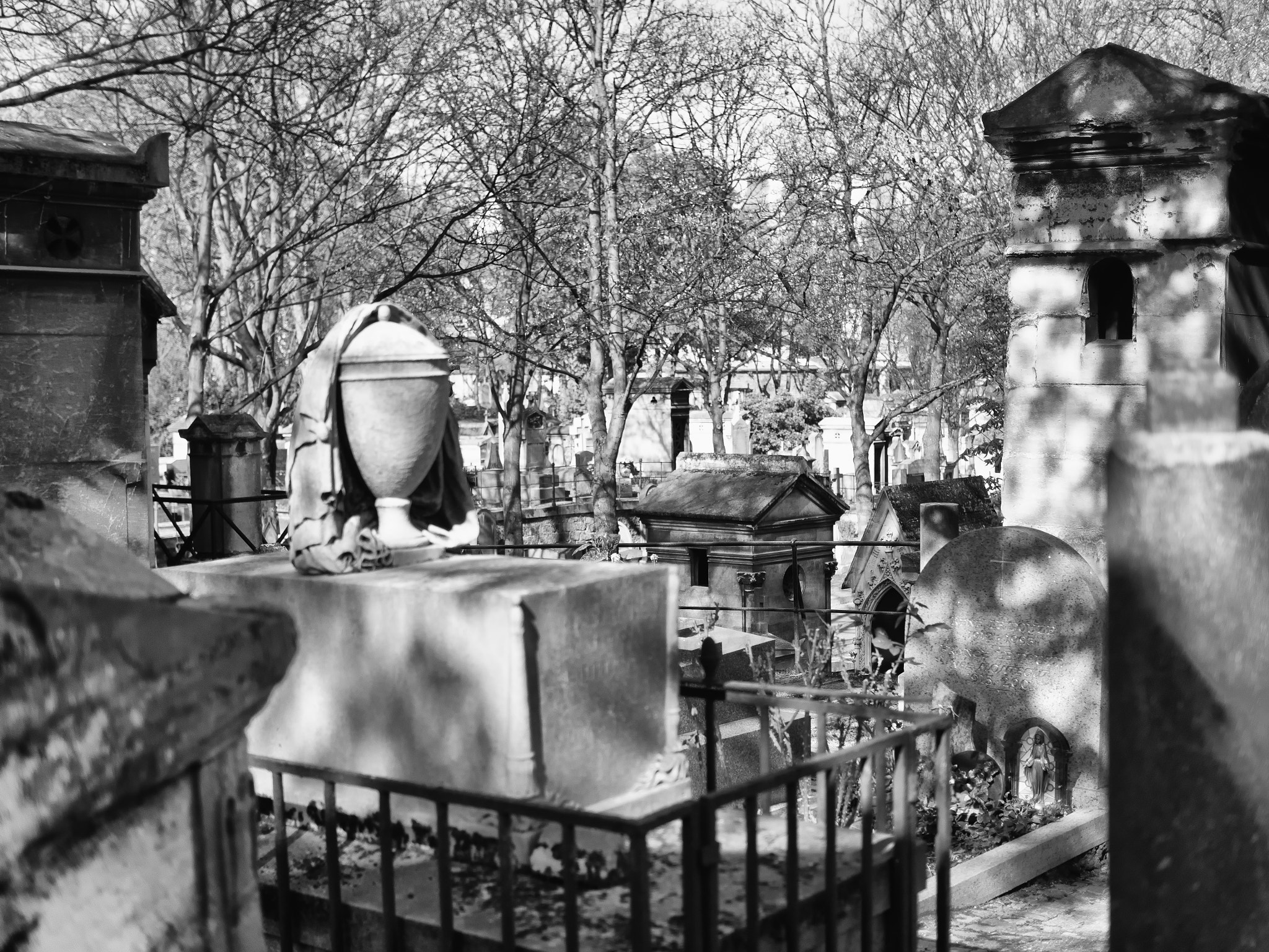 Olympus OM-D E-M10 + Olympus M.Zuiko Digital 25mm F1.8 sample photo. Cimetière de montmartre photography