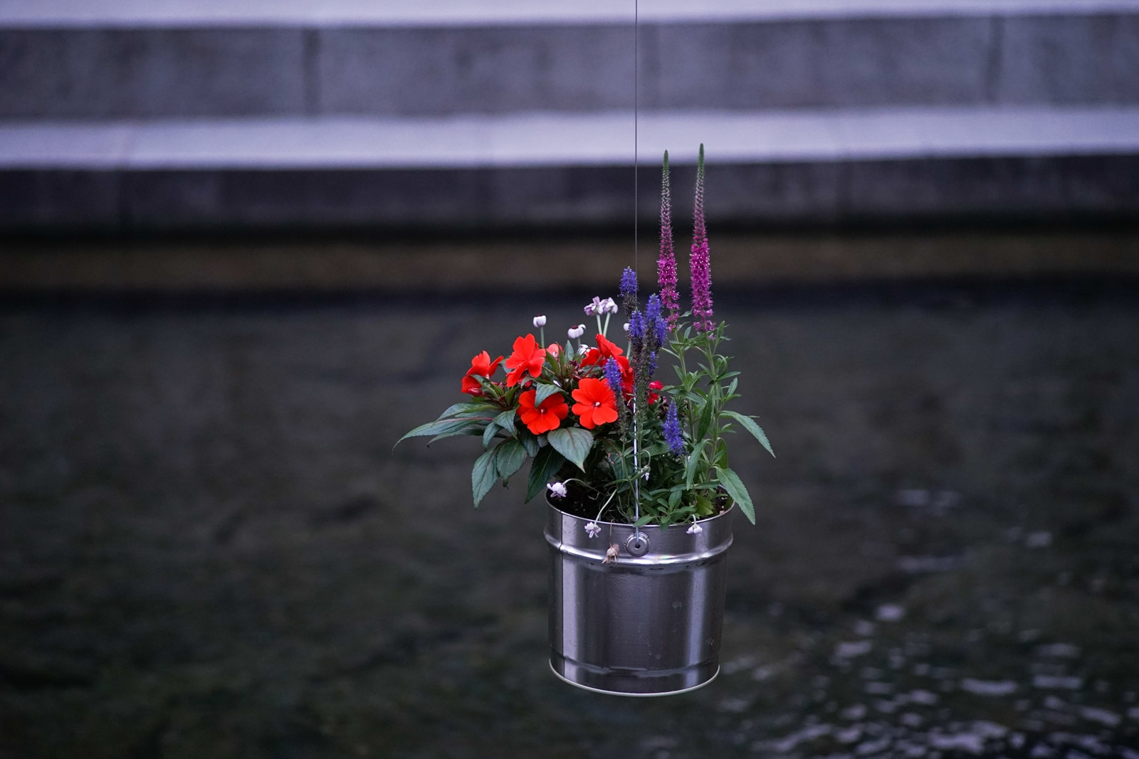 0mm F0 SAM sample photo. Dangling flower pot photography