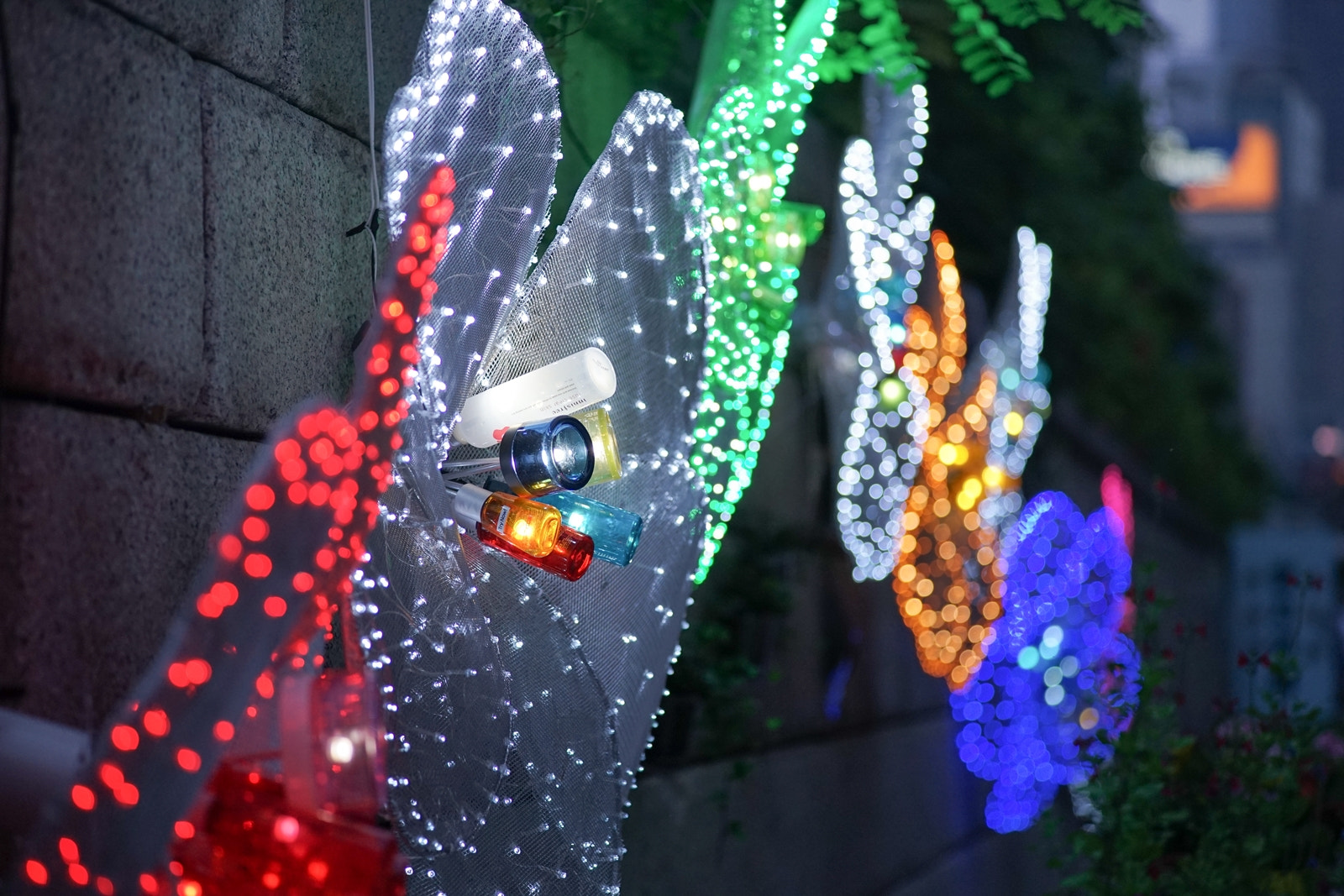 0mm F0 SAM sample photo. Flower light photography
