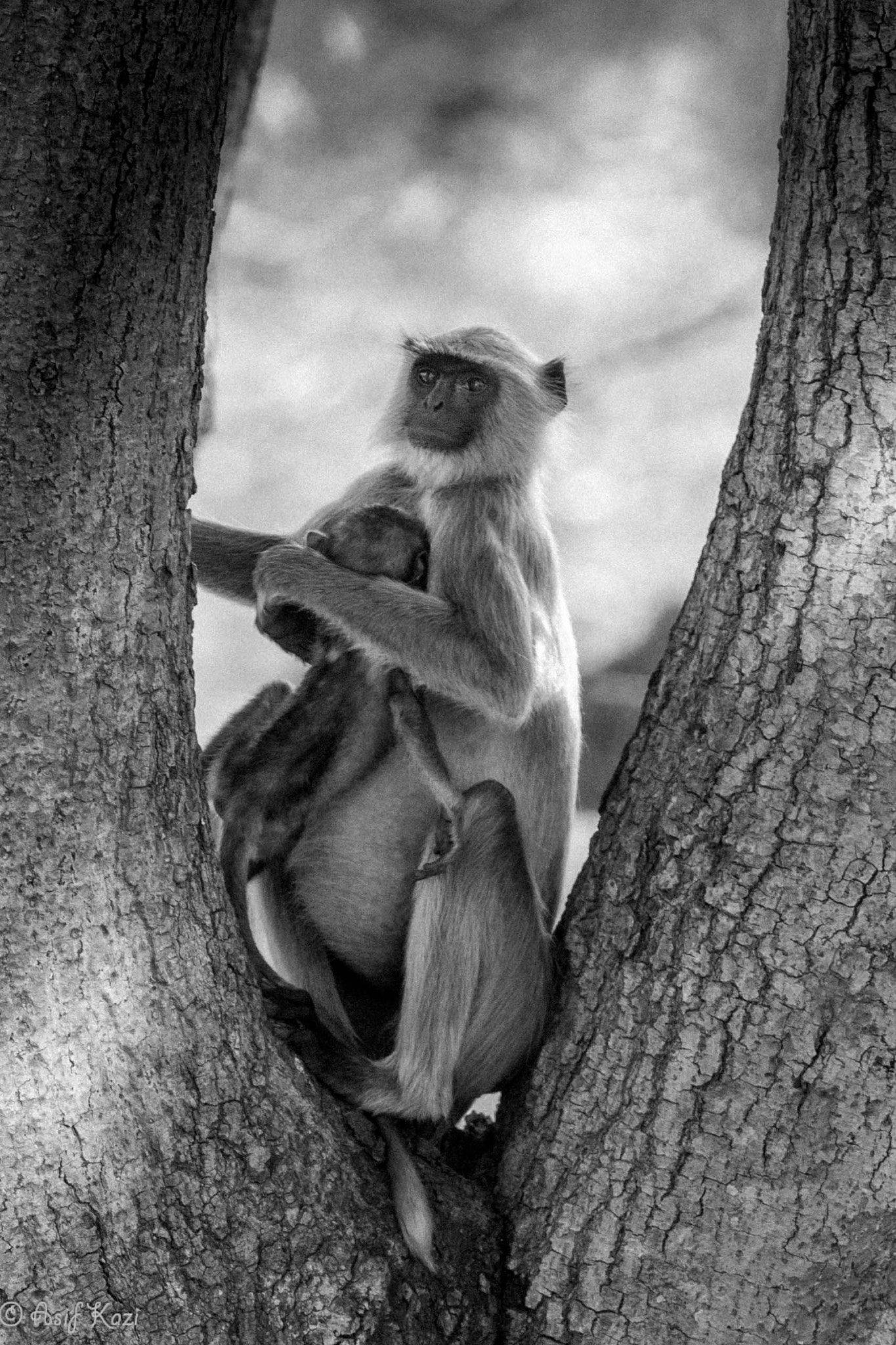 Canon EOS 6D + Canon EF 400mm F5.6L USM sample photo. Mother's love photography