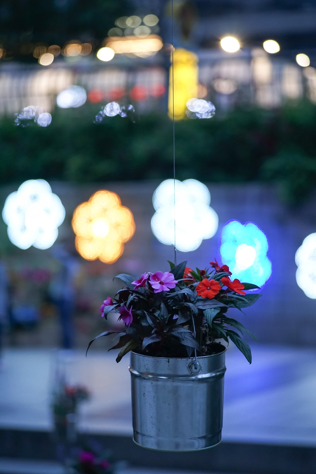 0mm F0 SAM sample photo. Dangling flower pot with bokeh photography