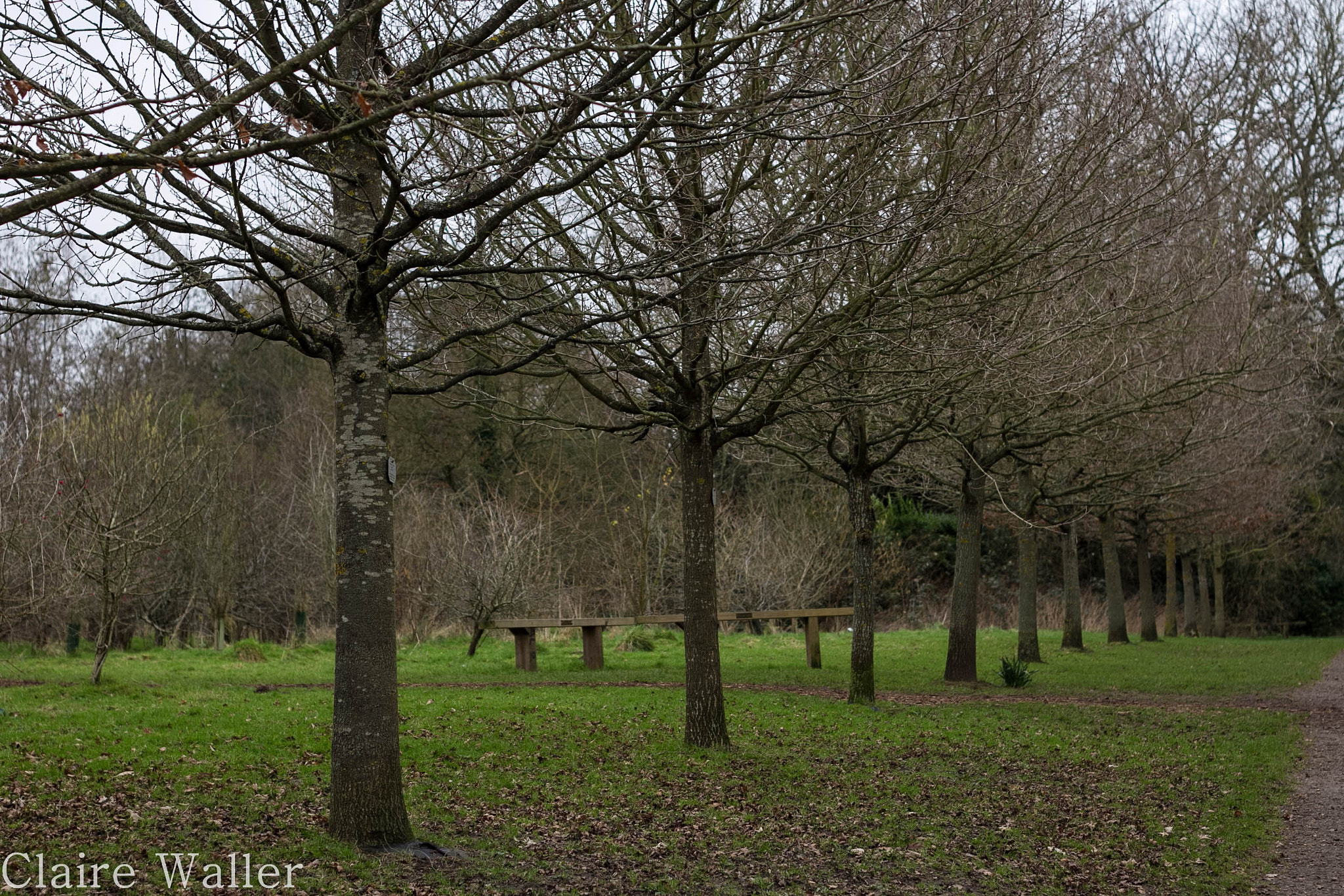 Canon EOS 7D + Canon EF 50mm f/1.8 sample photo. Standing tall photography