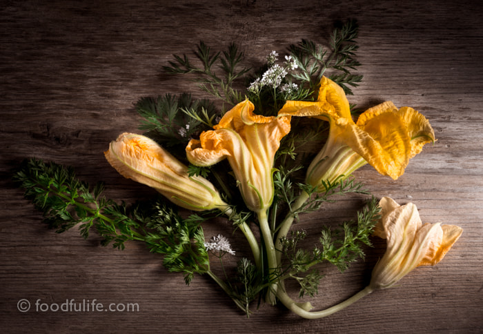 Nikon D800 + AF Nikkor 50mm f/1.8 sample photo. Courgette flower composition photography