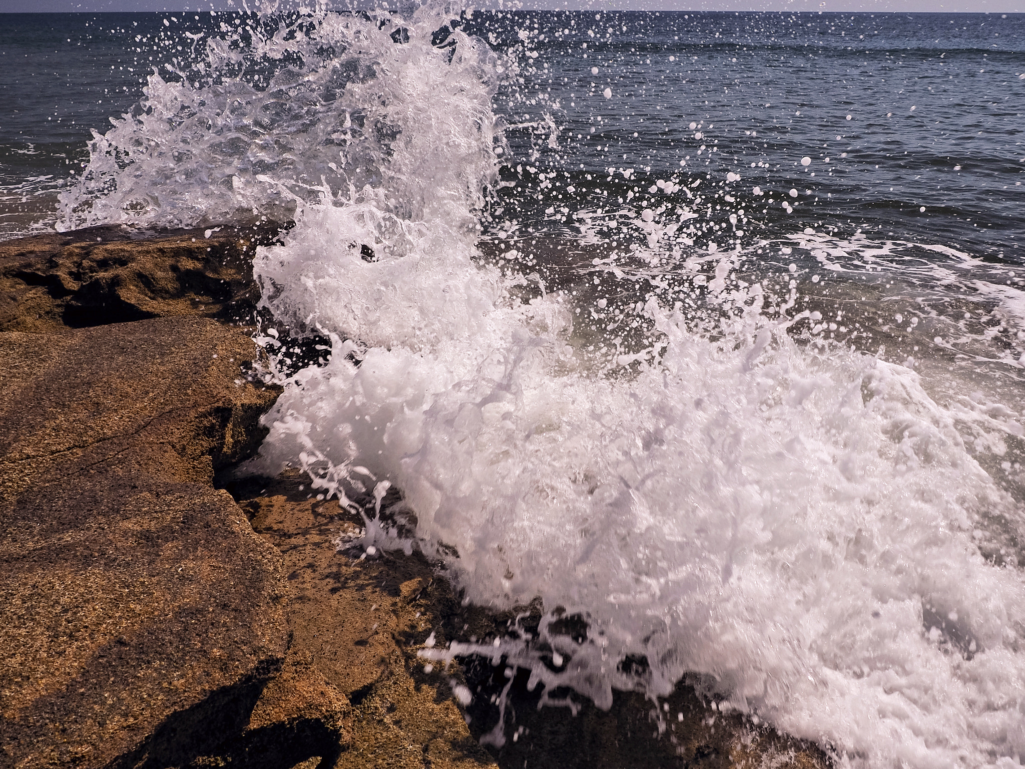 Olympus M.Zuiko Digital 14-42mm F3.5-5.6 II R sample photo. Washed at washington oaks photography