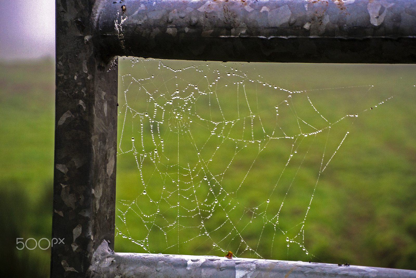 Nikon 1 V1 sample photo. The weaver's work photography
