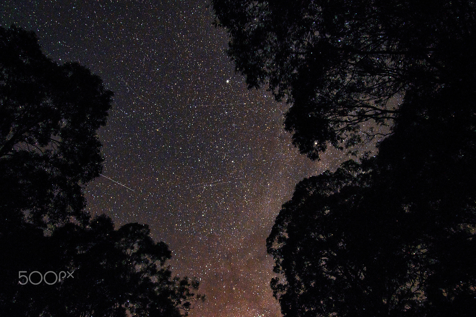 Nikon D800E sample photo. Starry sky in the middle of nowhere. photography