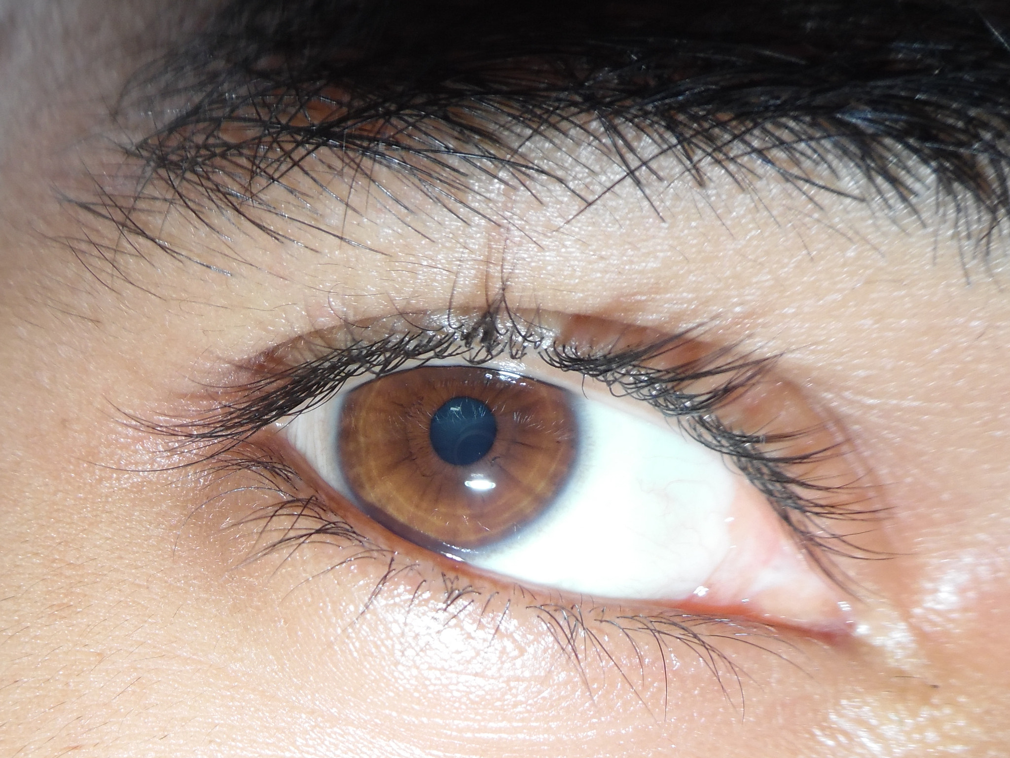 Samsung WB50F/WB51F/WB52F sample photo