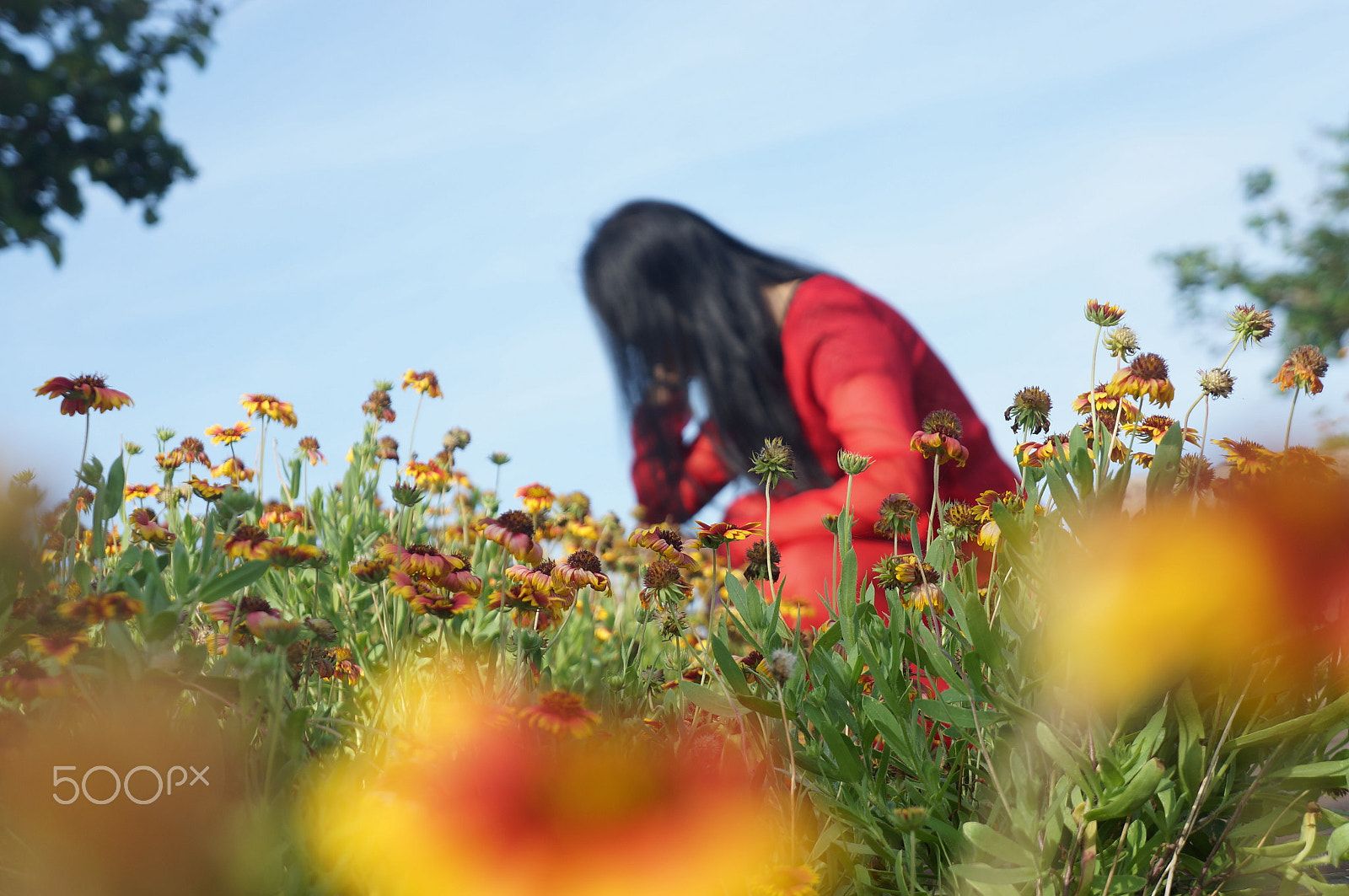 Sony E 18-55mm F3.5-5.6 OSS sample photo. Red. girls. photography