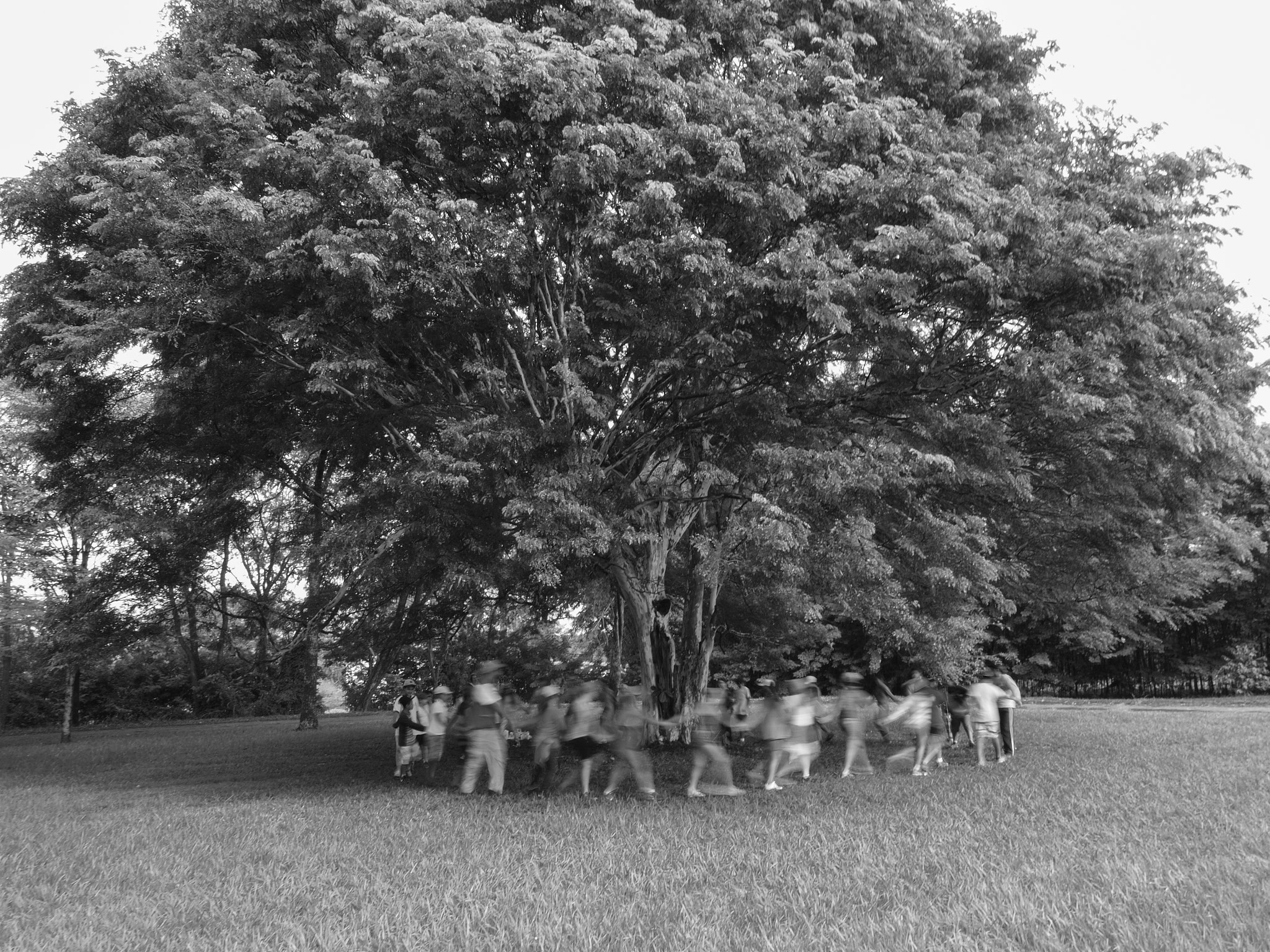 Olympus OM-D E-M5 II sample photo. Childhood floating in time photography