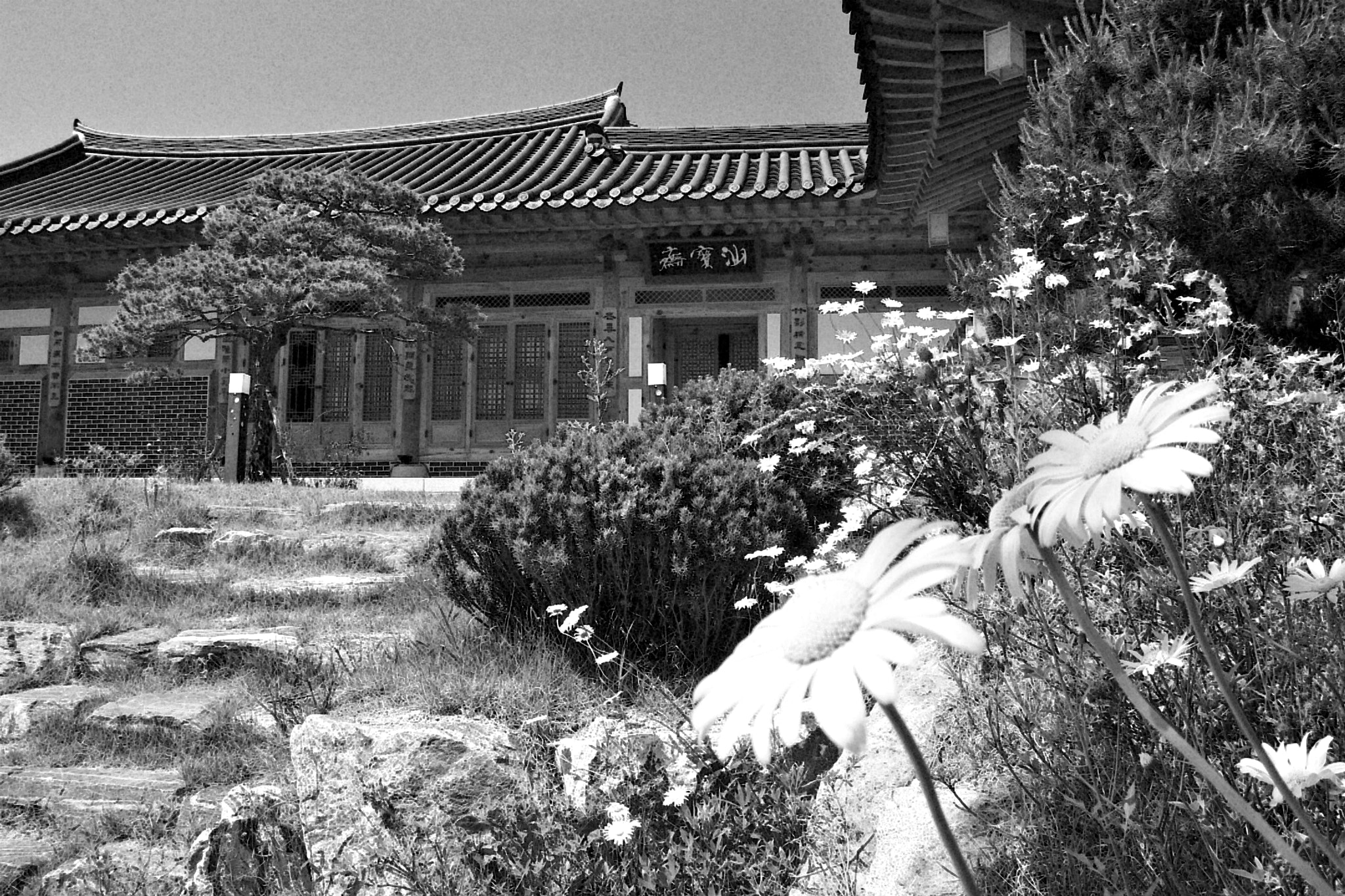 Kodak DC4800 ZOOM DIGITAL CAMERA sample photo. Korea traditional house photography